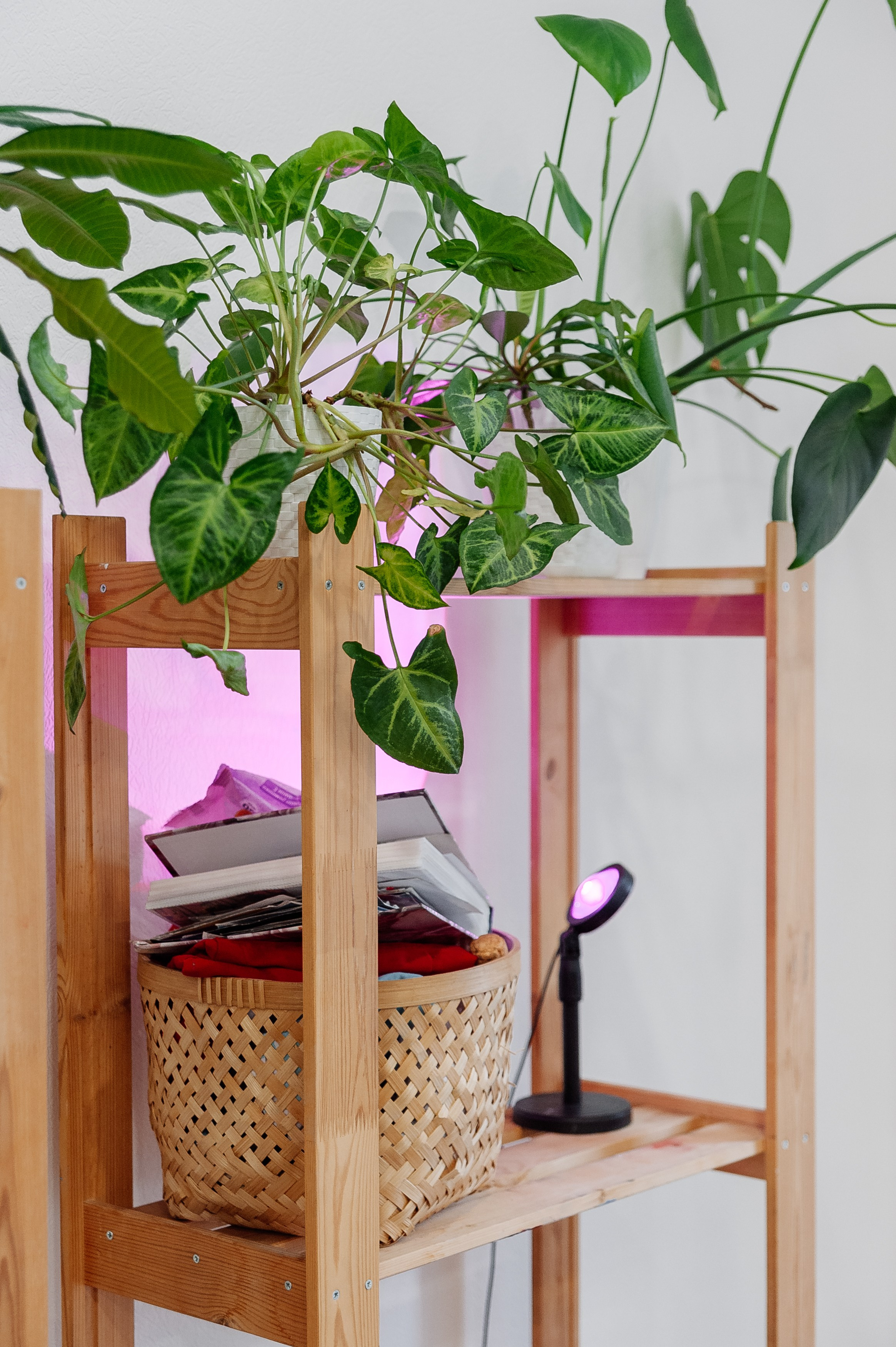 День рождения в AtticArt. Свадебный и репортажный фотограф СПб