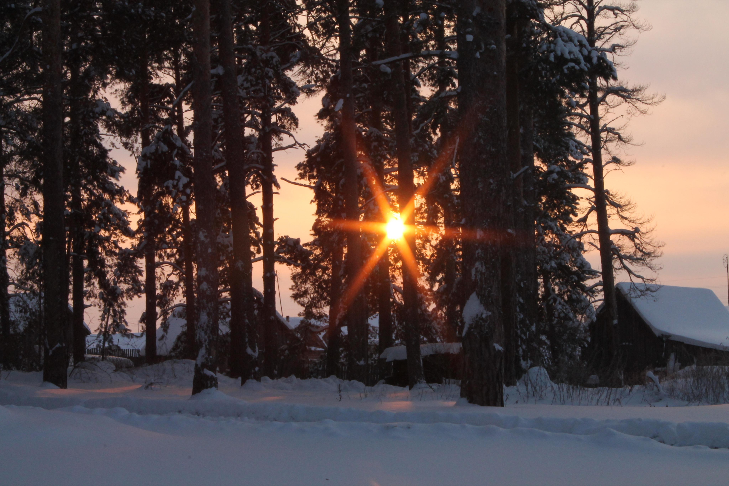 Wallpaper. Семейный фотограф Ирина Крючкова