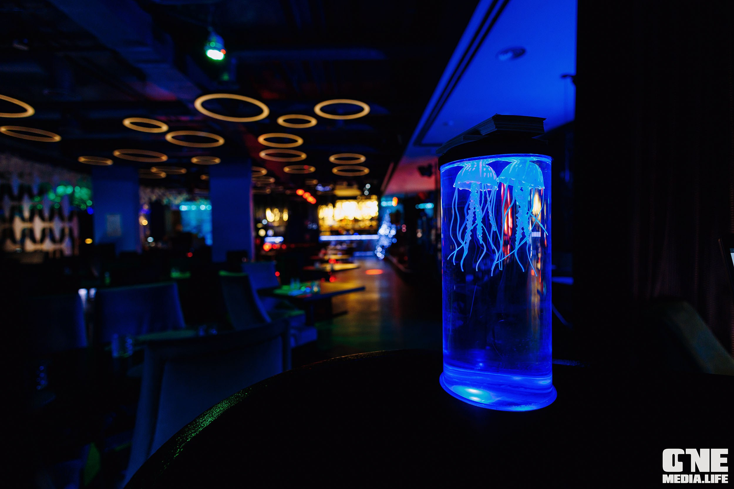 Фоторепортаж из ресторана Океан. One Media Life: фоторепортажи, фотоотчеты с мероприятий и заведений