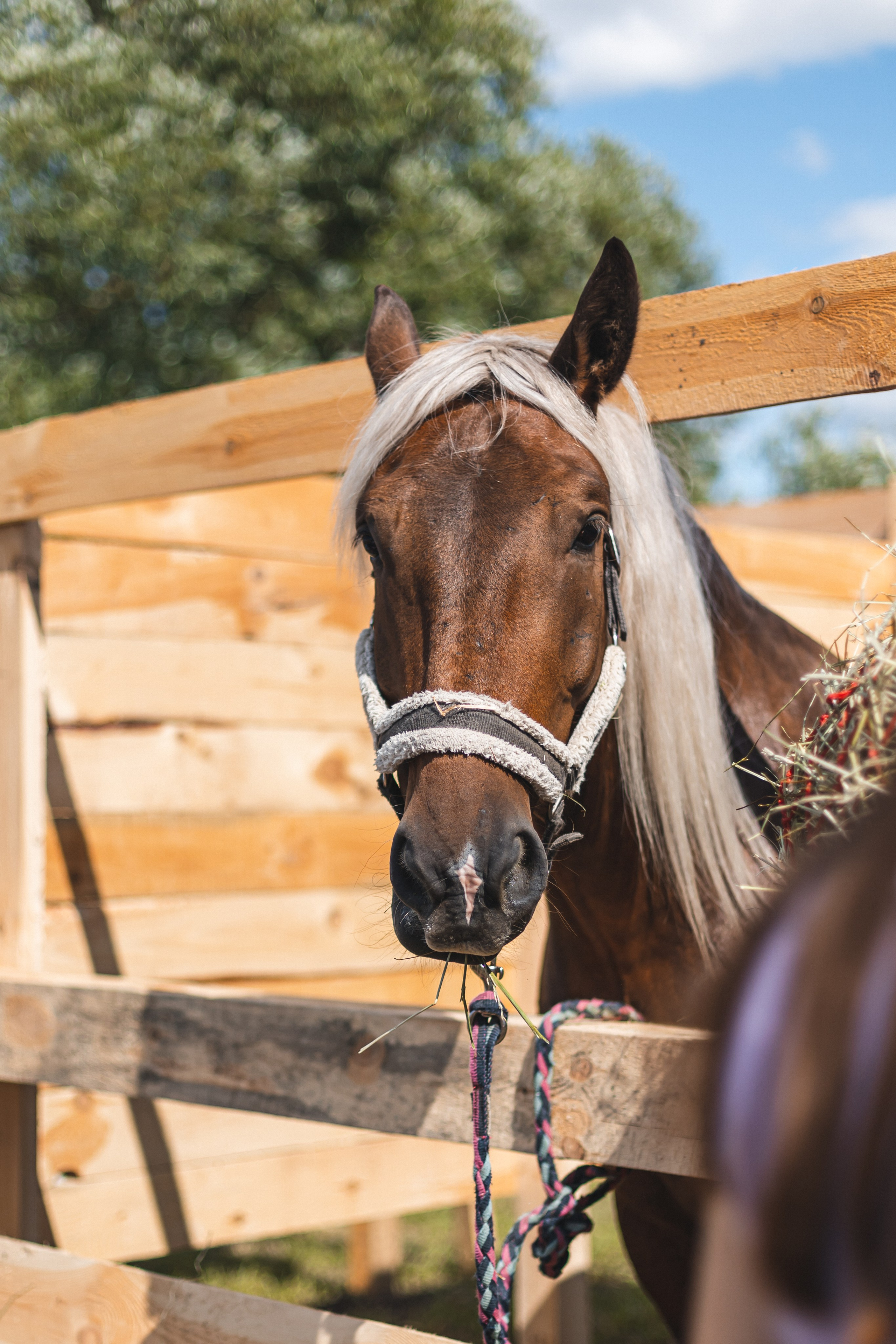 Общественные и культурные события. Наталья Летунова — репортажный фотограф