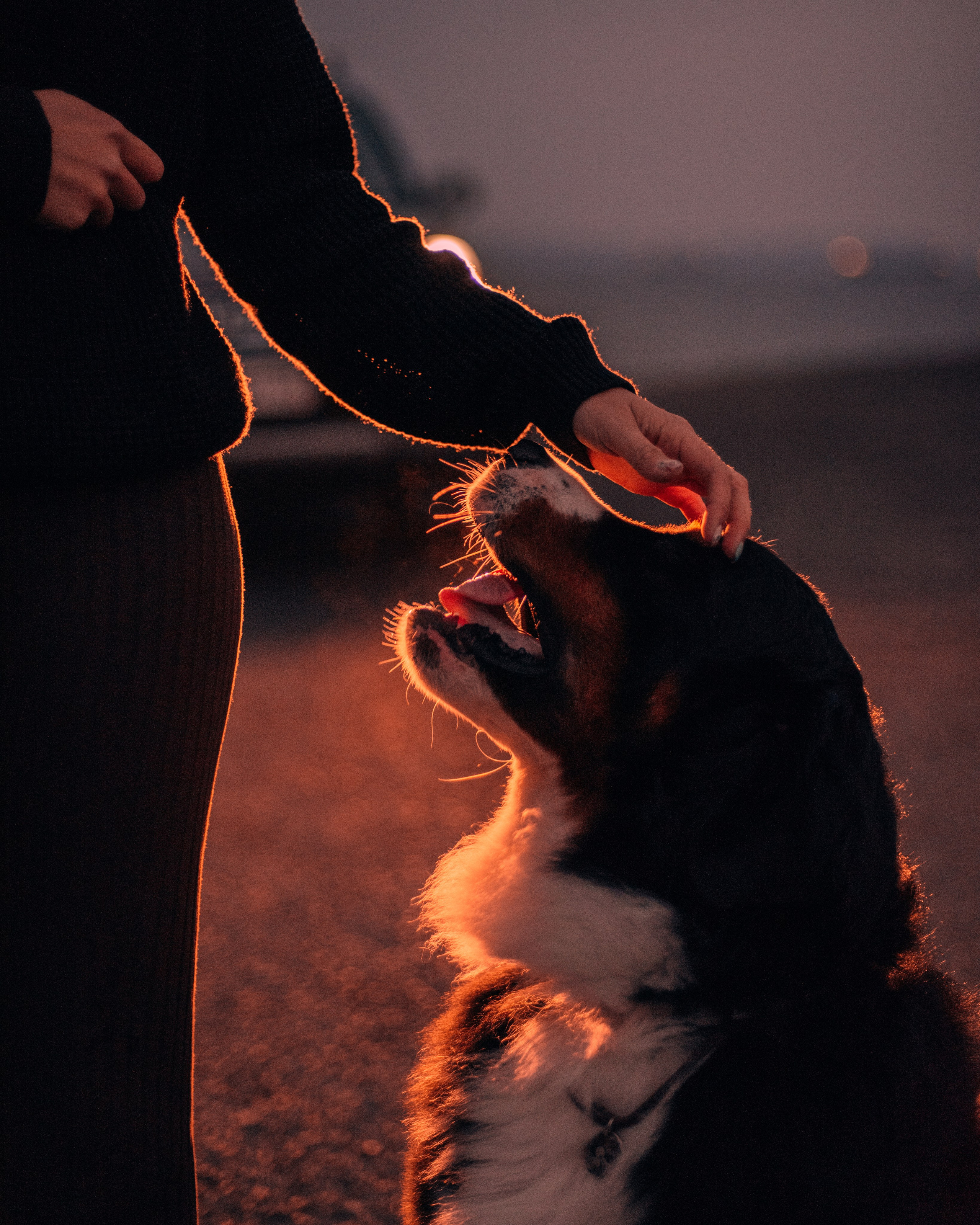 Владивосток: Марс и Маша. Портфолио