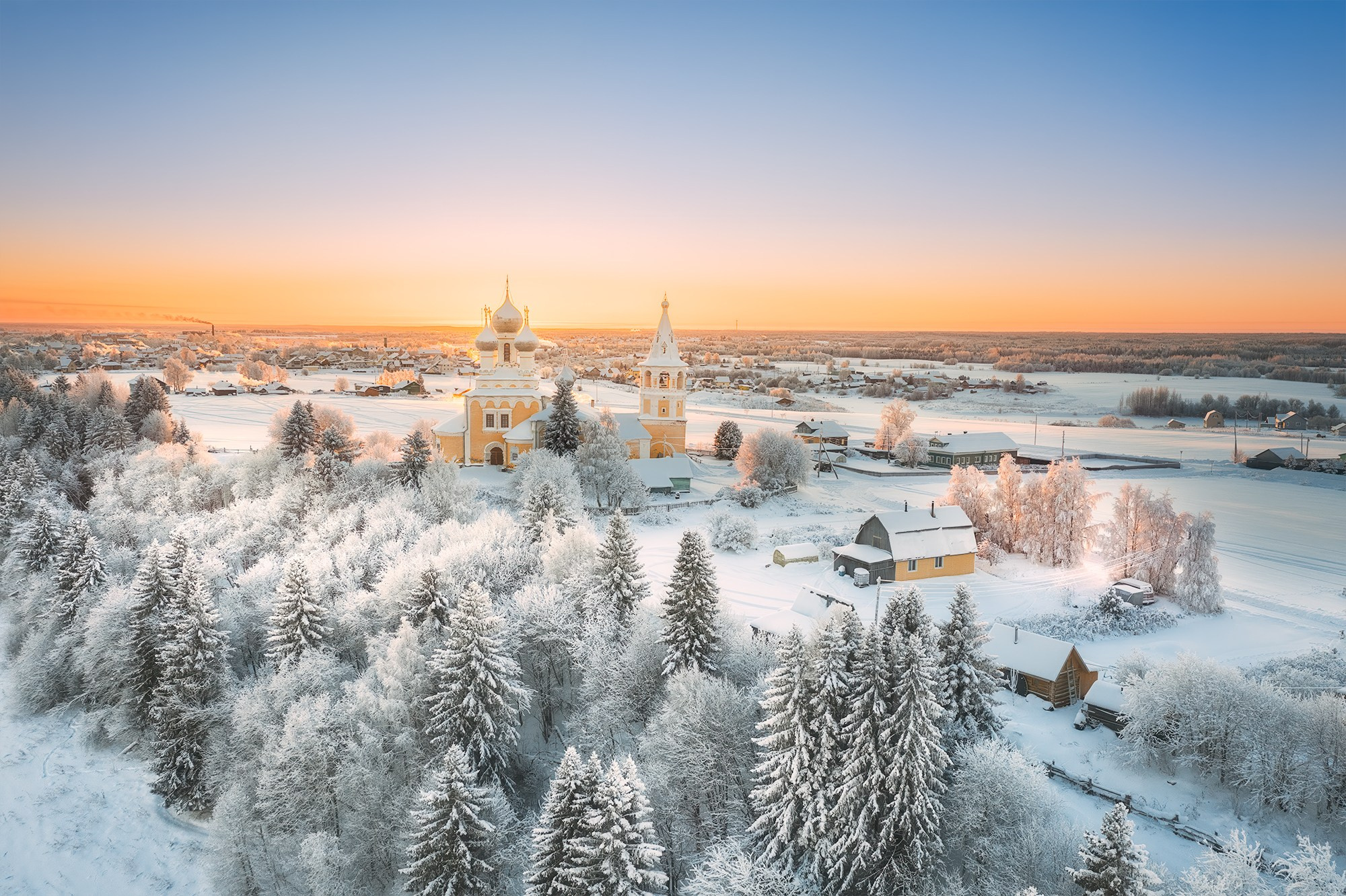 Весна в лесу. Фотосъемка в Архангельске, фотограф Александр Ермолин
