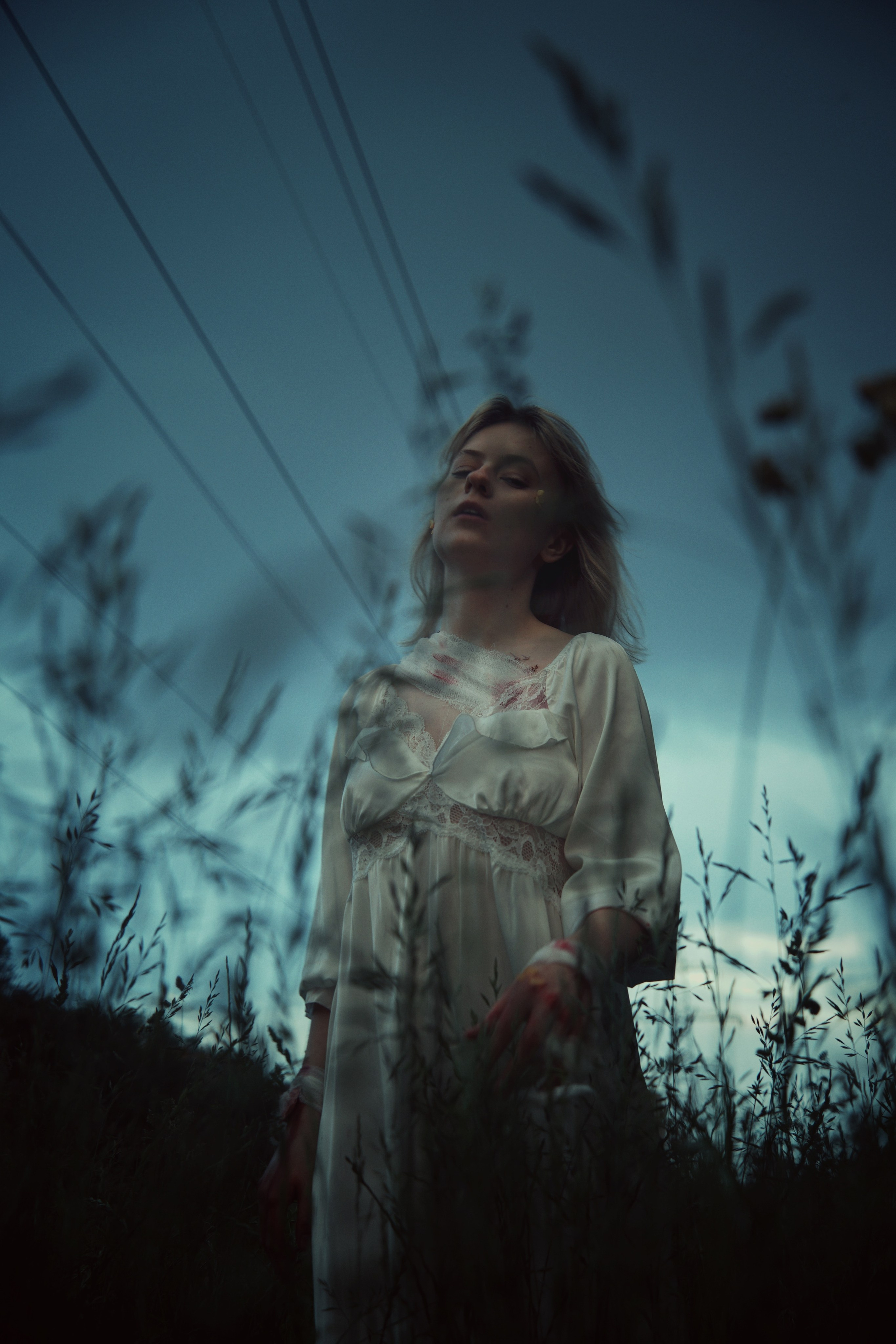 ЦВЕТЫ МЫСЛЕЙ. VetkasART