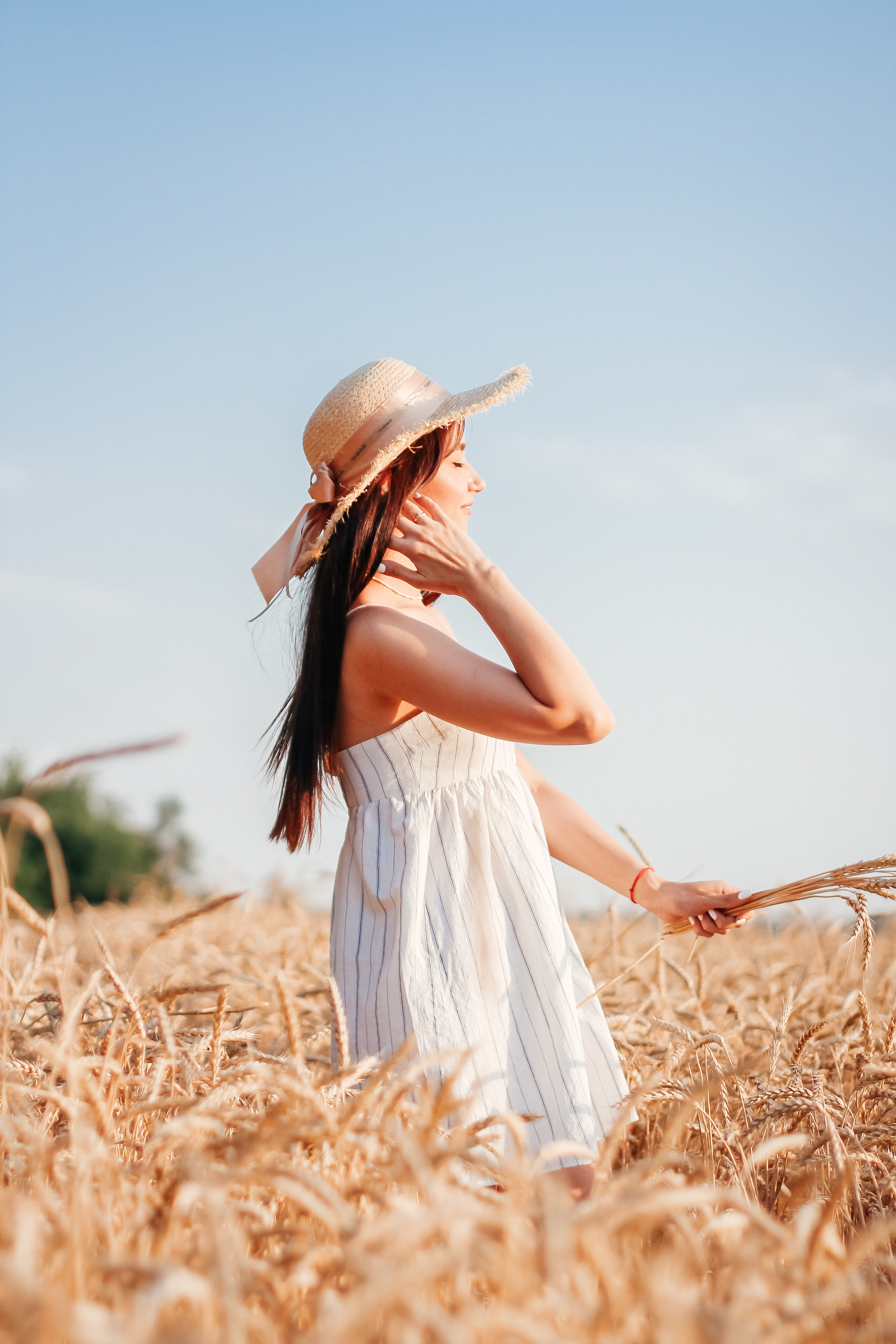 Настя в пшеничном поле. Свадебный фотограф Ольга Гречко