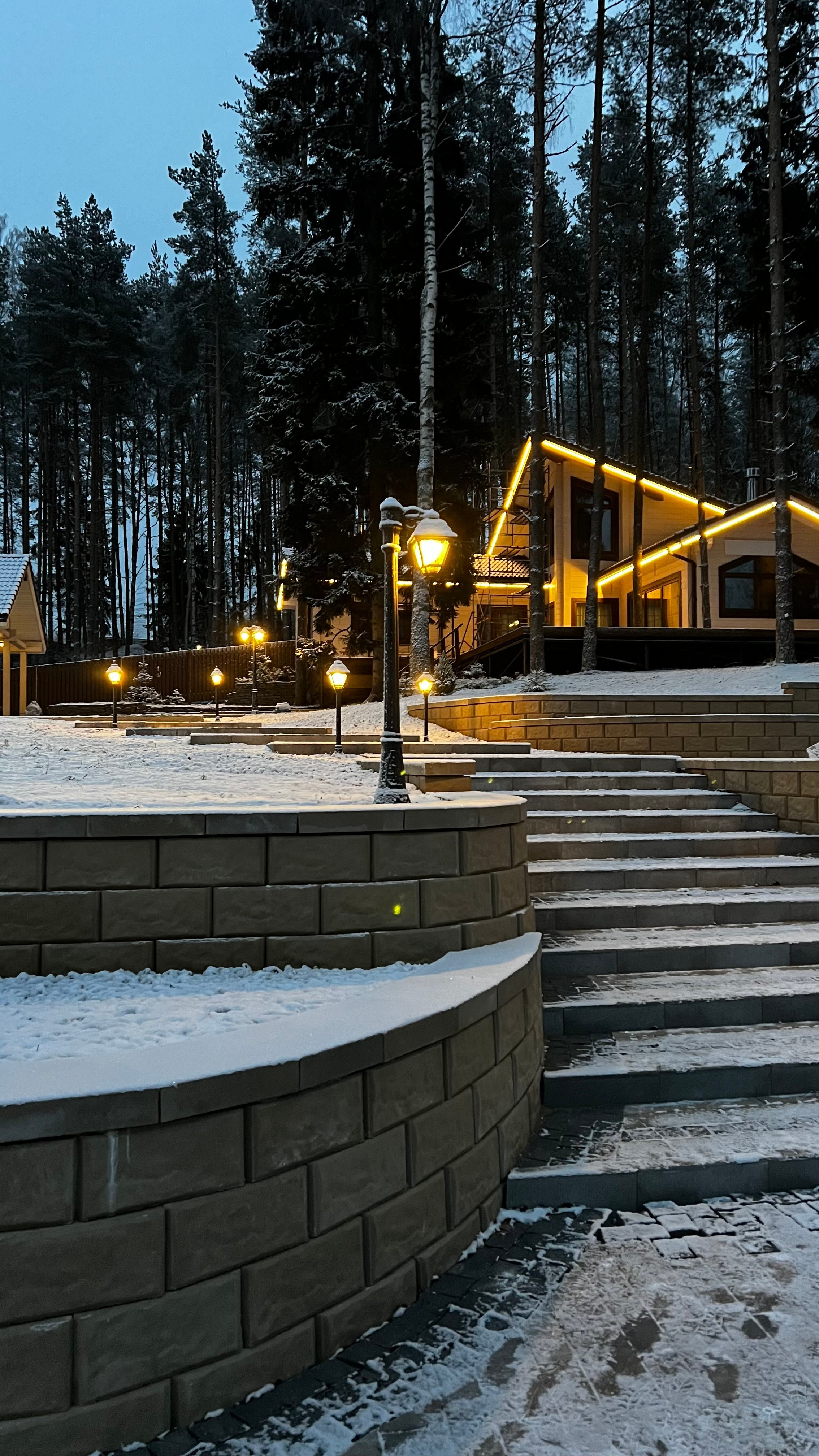 Elegant Home Lighting «неоновая сказка». IlluminaSPB — Ваш надежный партнёр в мире электричества