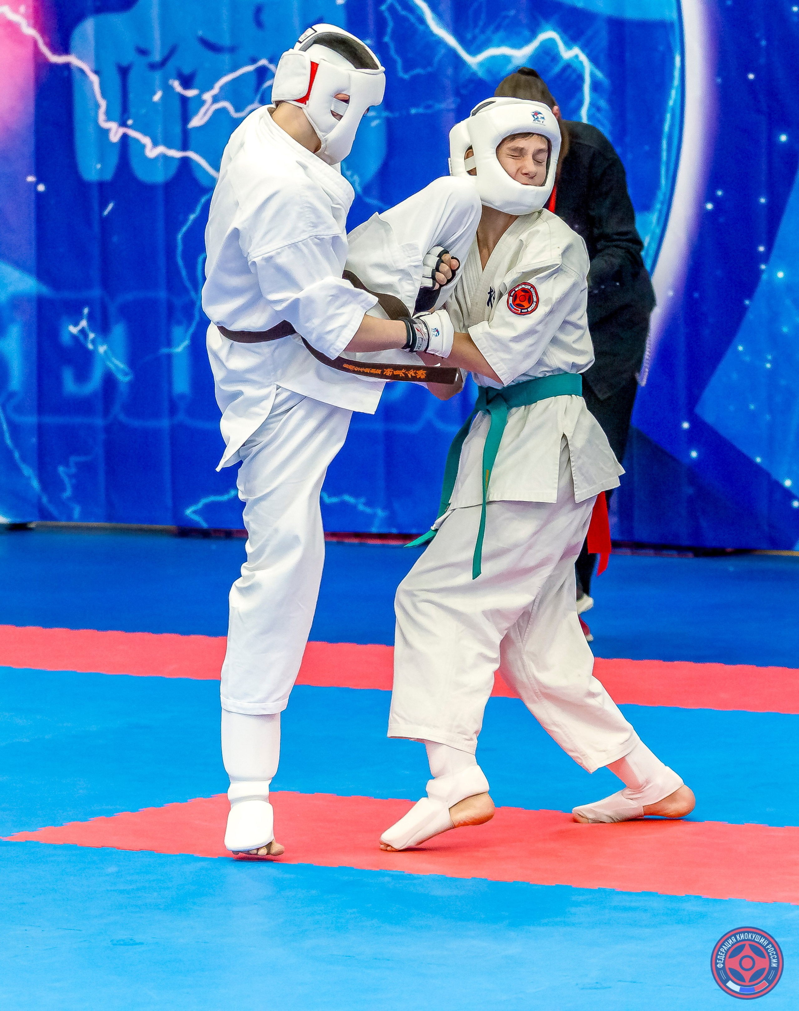 Международный турнир по киокушин «Открытый кубок Seiken». Репортажная съемка в Москве и области. Анималистика