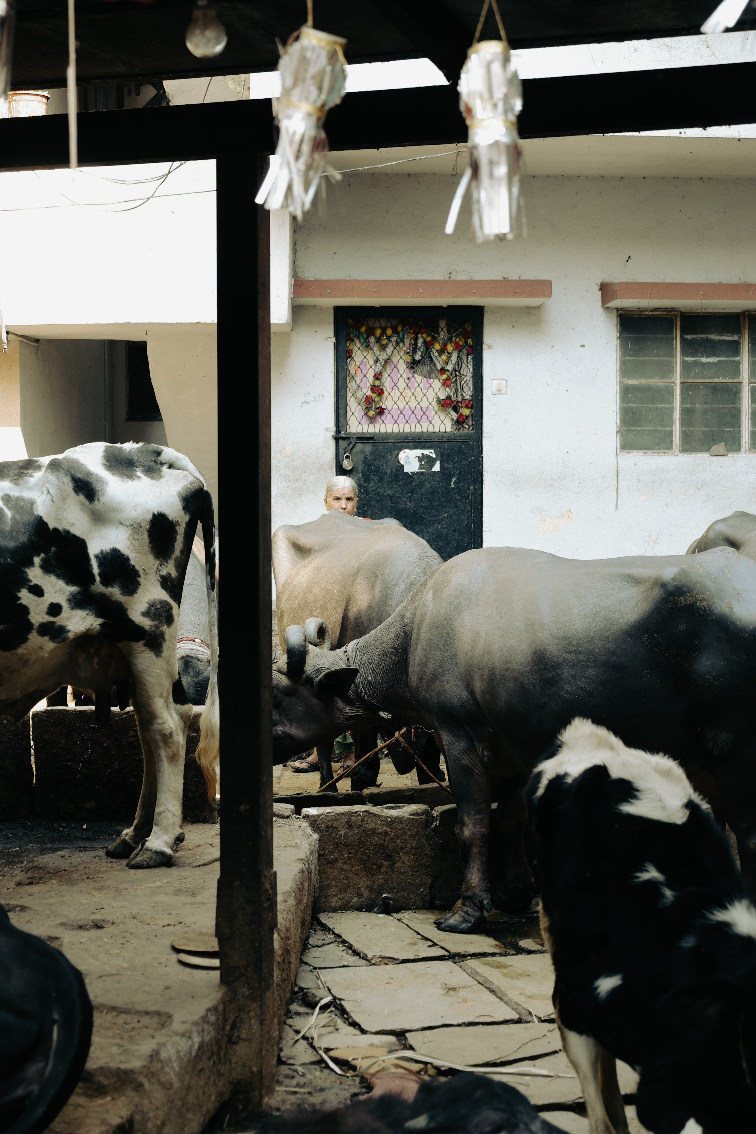 India. Фотограф в Москве