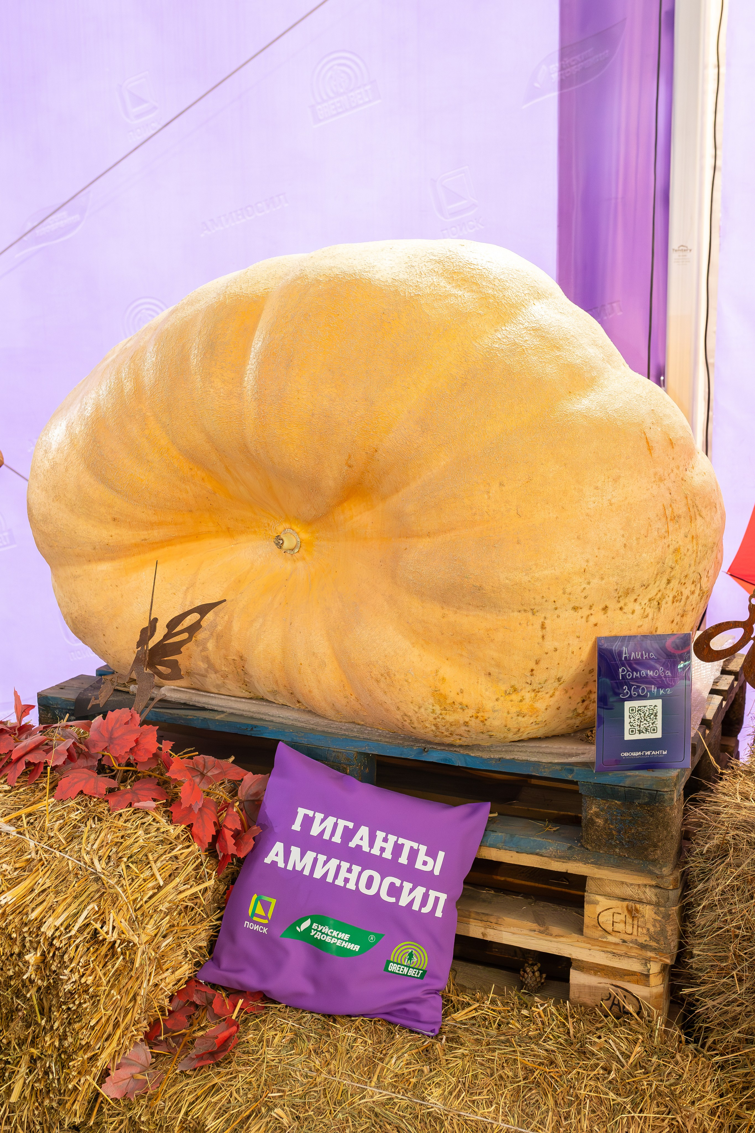 Овощи-гиганты. Александра Куликова фотограф, Москва