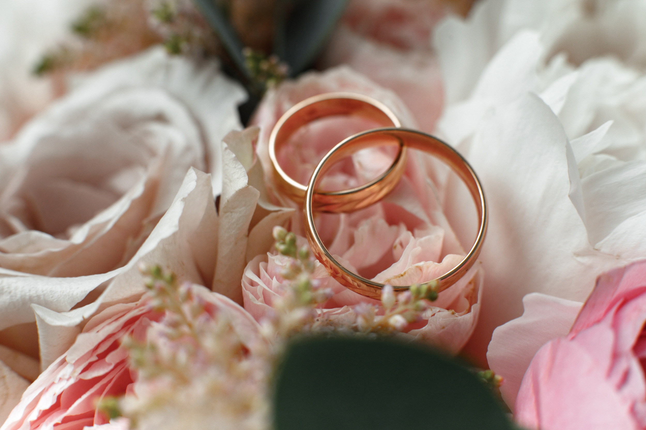 Свадебный Фотограф Анна Руданова. Свадьба Руслана и Екатерины