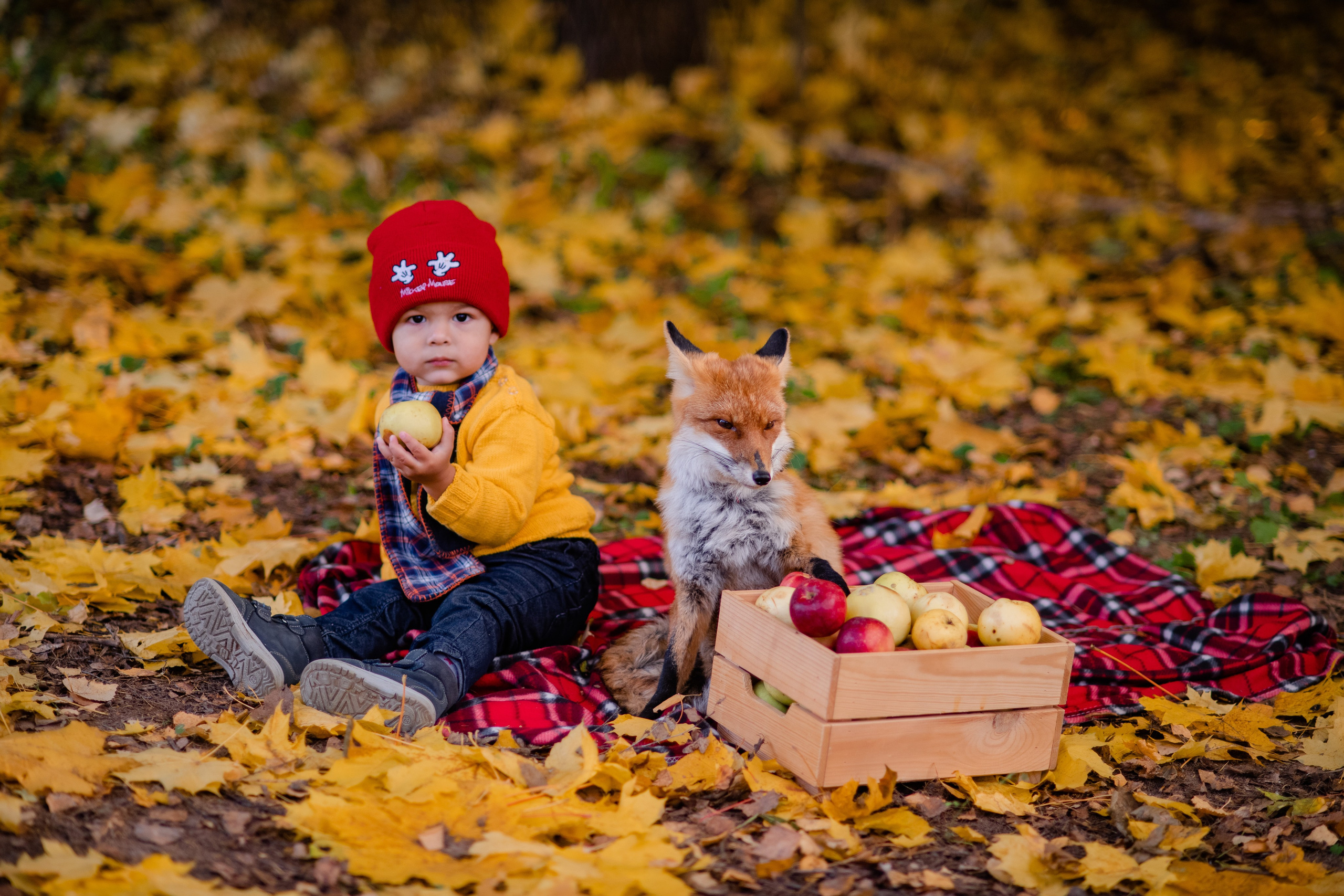 Дети. Меня зовут Павел Лонкин, я Фотограф из Москвы pavellonkinphoto.ru