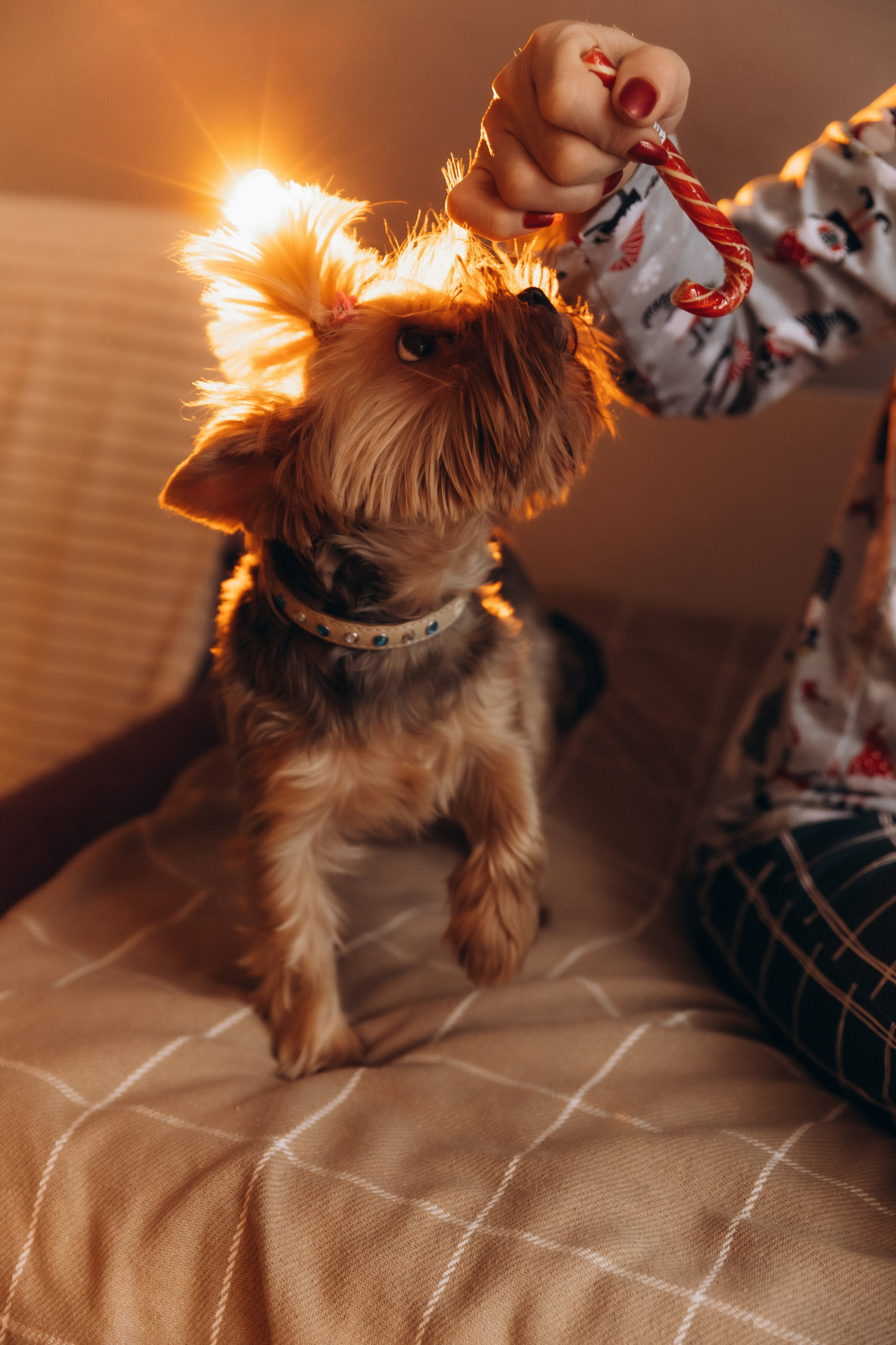Время чудес и волшебства. Семейный и свадебный фотограф Анастасия Слободчикова. Лысьва, Чусовой, Пермь
