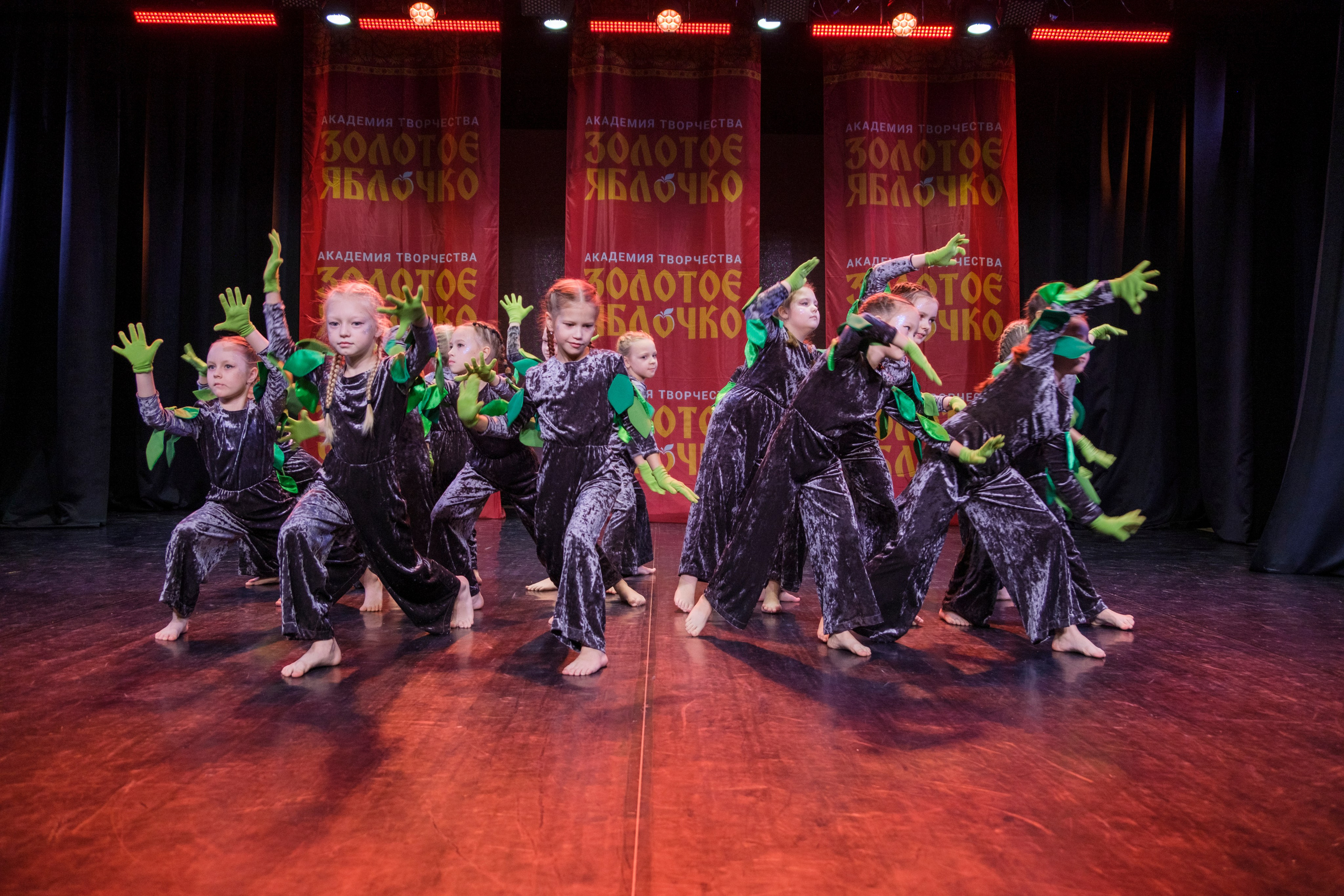 17 ноября, г. Великий Устюг. Золотое яблочко