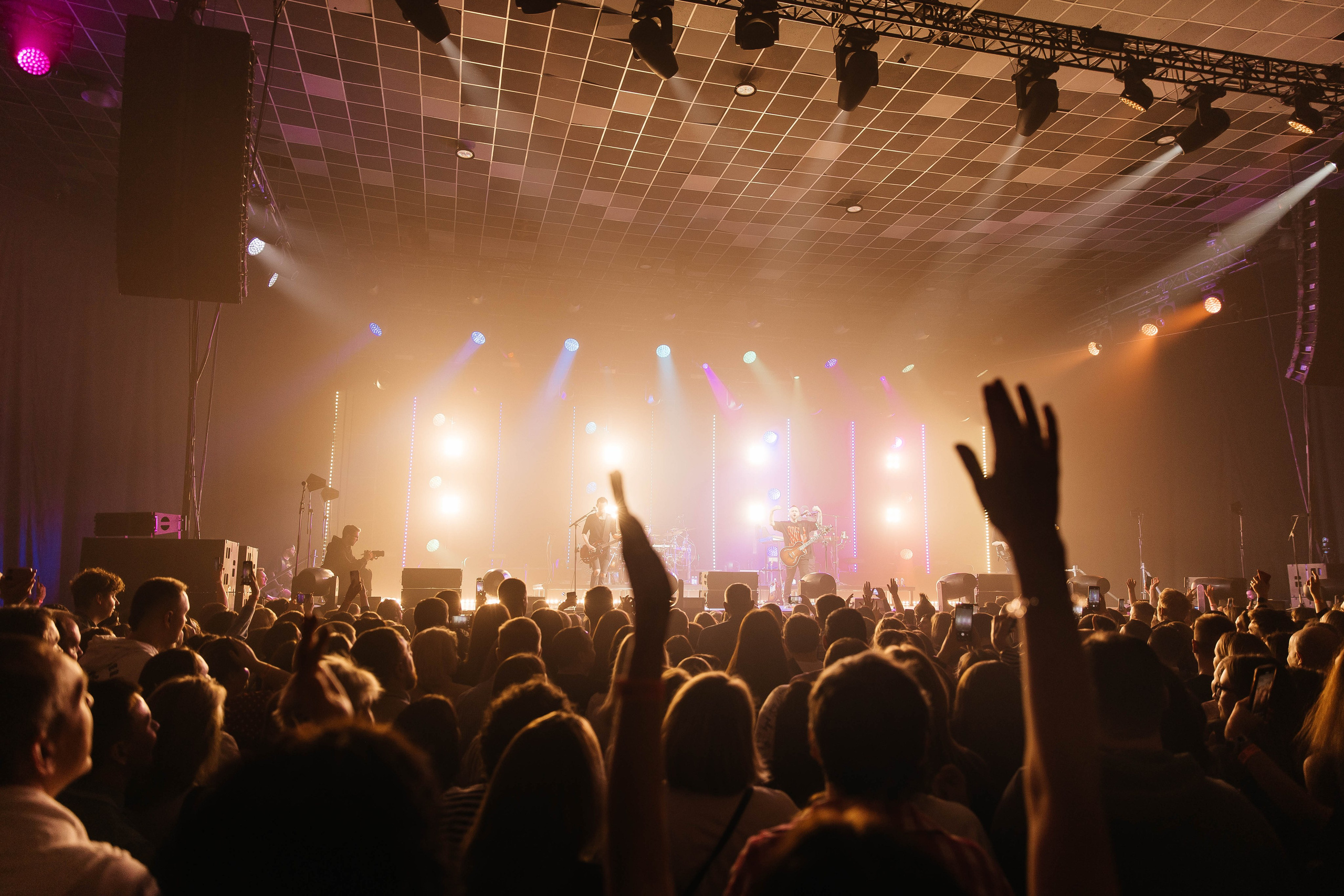 Звери. _Carpe diem_