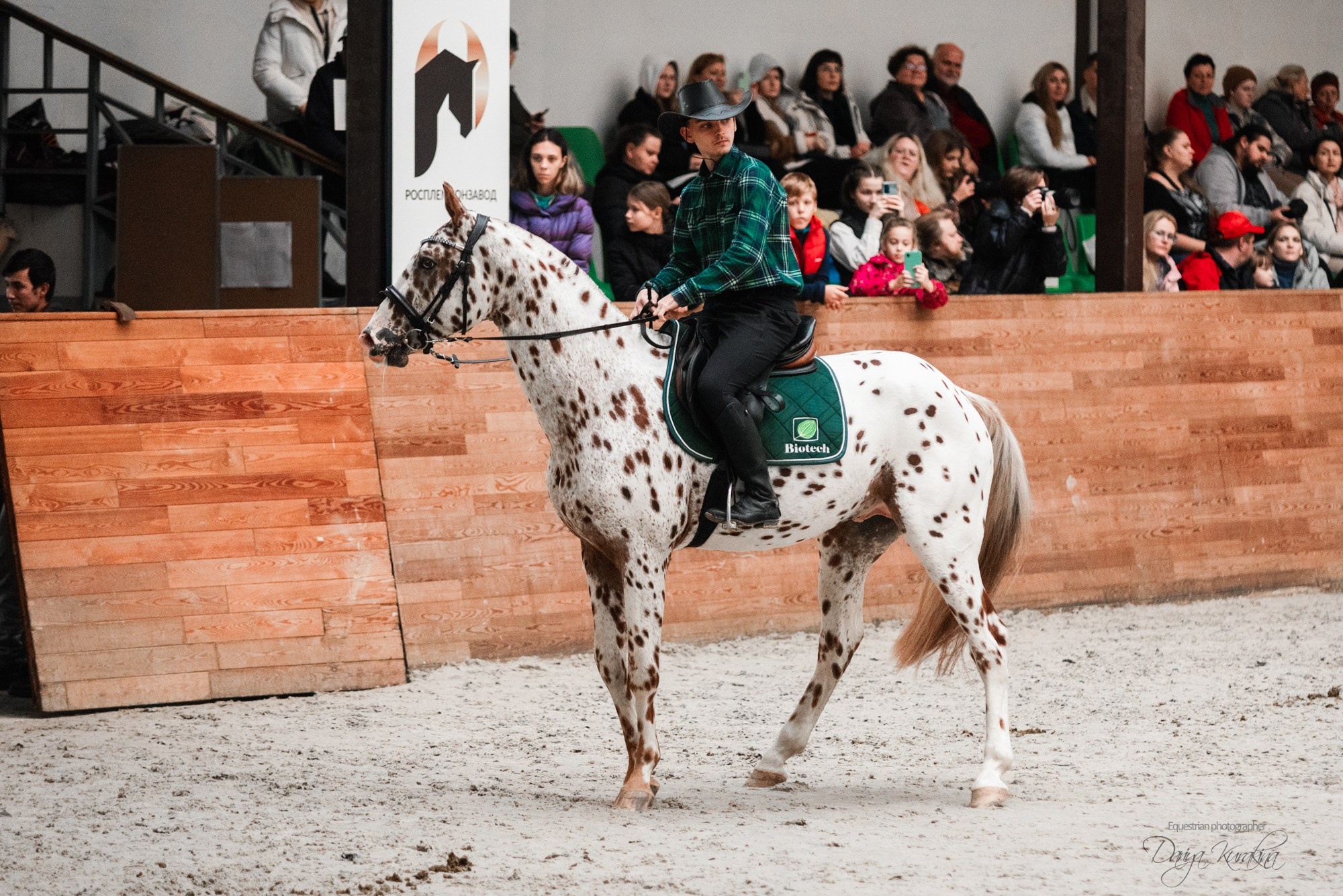 8-я международная выставка Конная Россия. Конный фотограф Куракина Дарья • Фотосессии с лошадьми