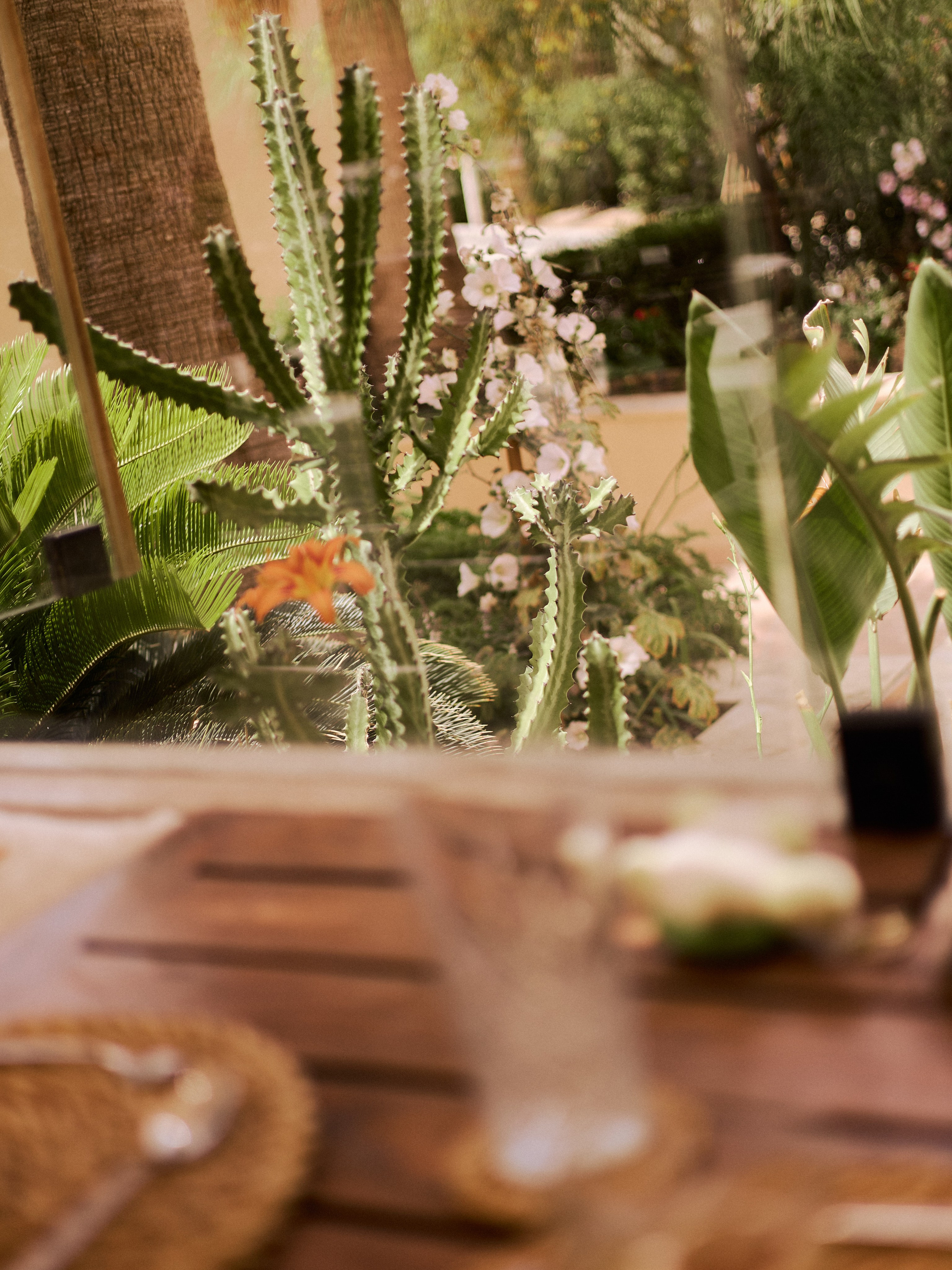 Диптих. Jorgis — фотограф в Хургаде / обучение фотографии