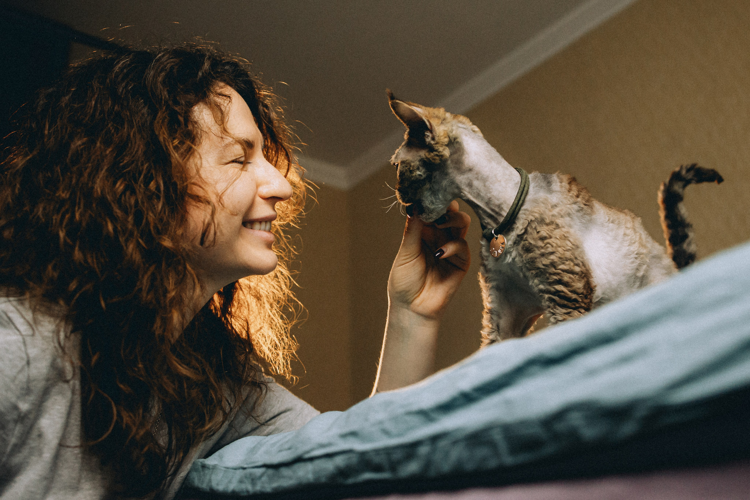 Гречка, Ковш и их семья