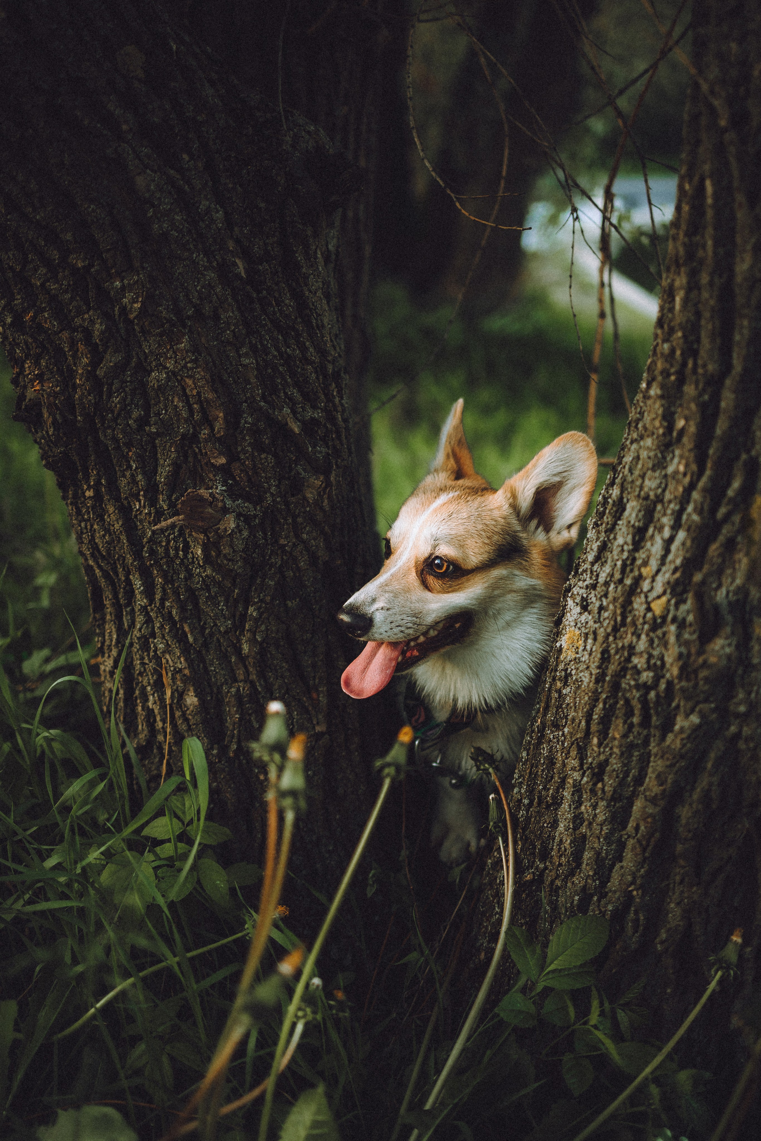 Илай, Зайка и их семья