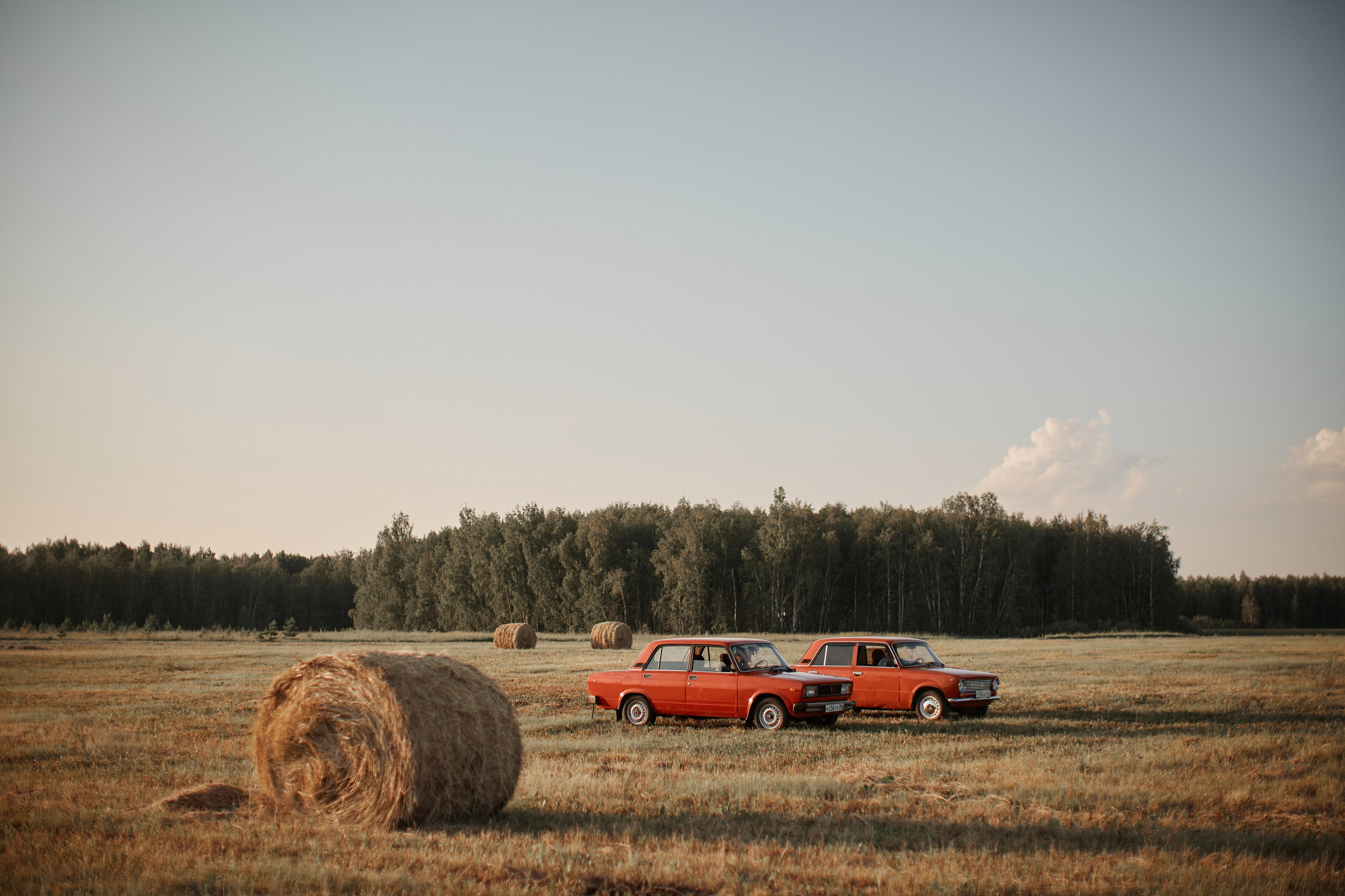 Саша и Соня. Ваш фотограф Антон Колташов город Курган Тюмень Челябинск Екатеринбург