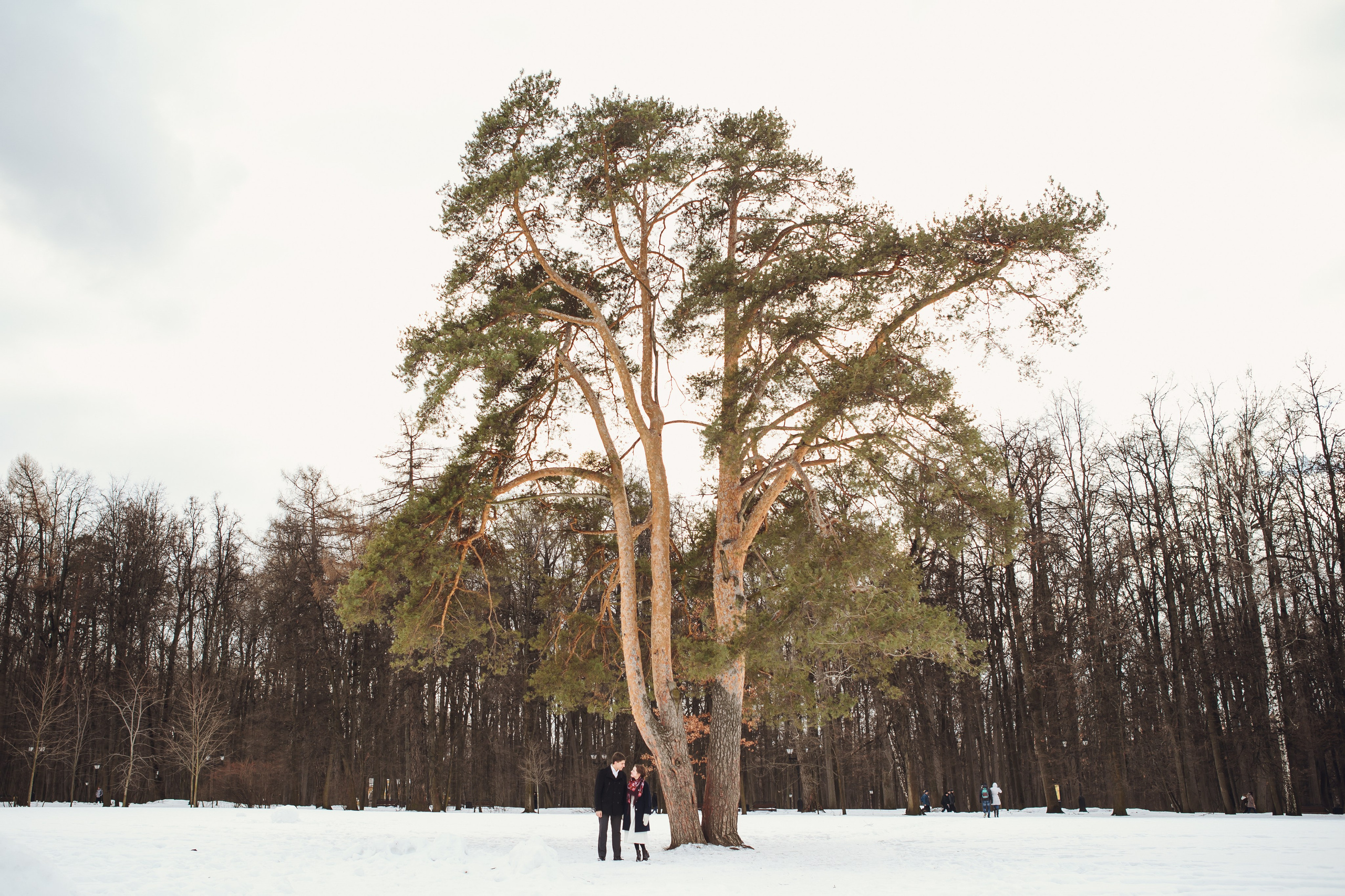 Свадебные моменты 2010-2022. Фотограф Светлана Петрова