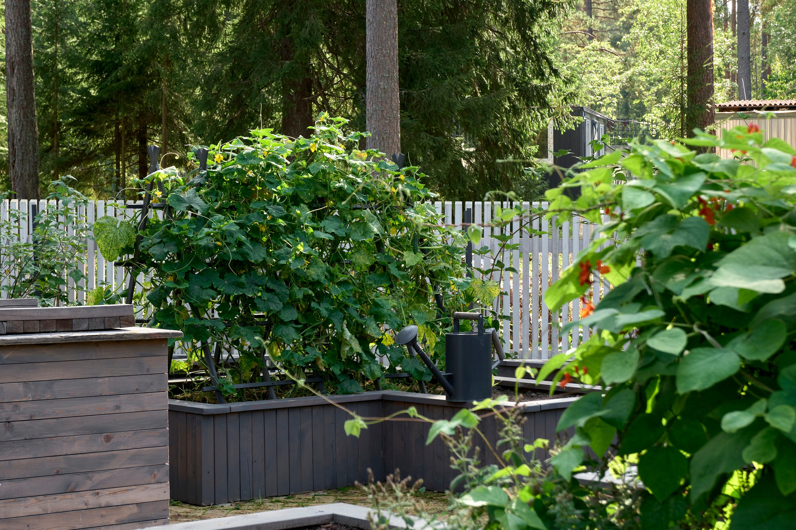 Ландшафтный и интерьерный фотограф Наталья Соловьева. Фотосъемка сада в Рощино для студии Мята | interioto