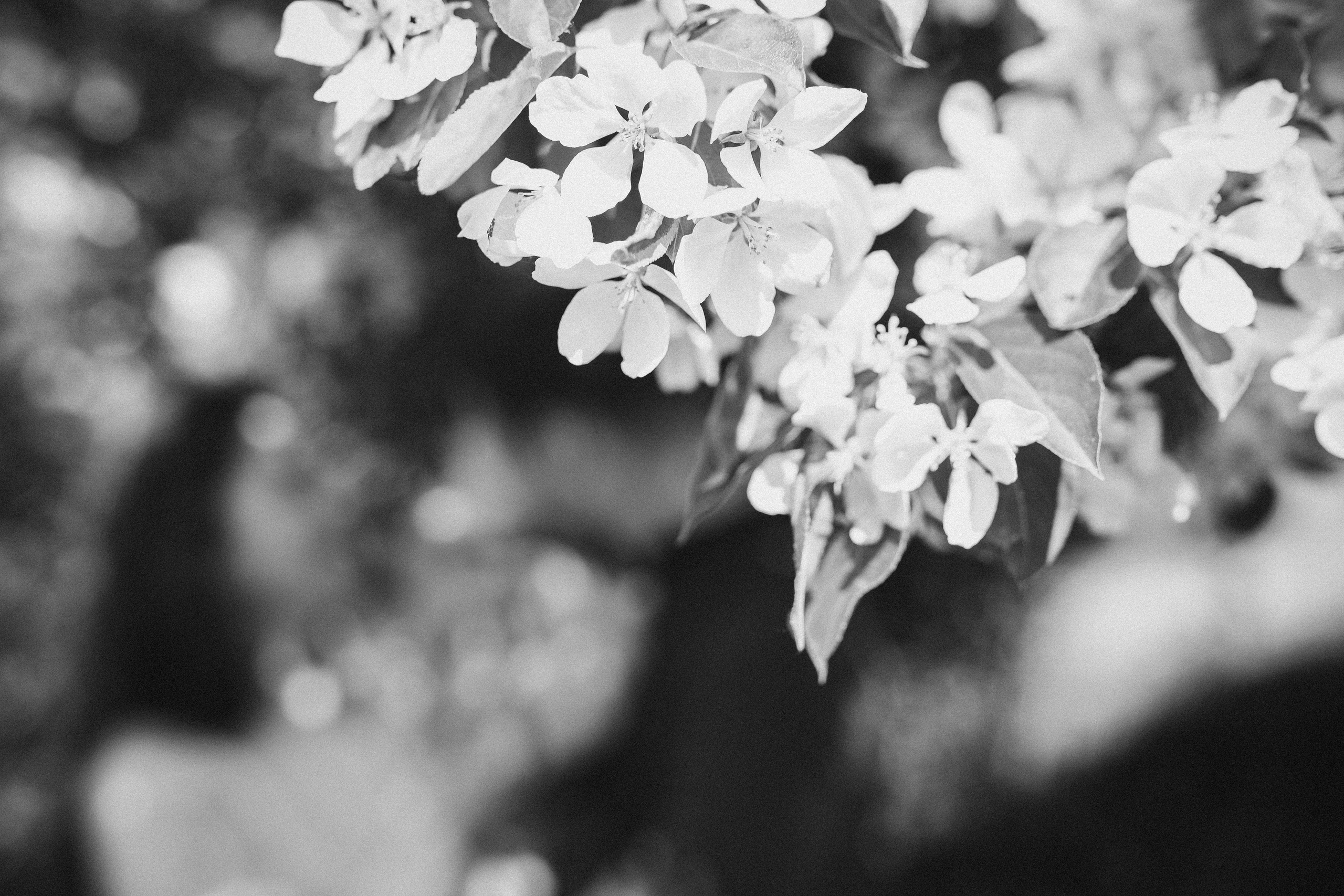 Не бойся ошибаться