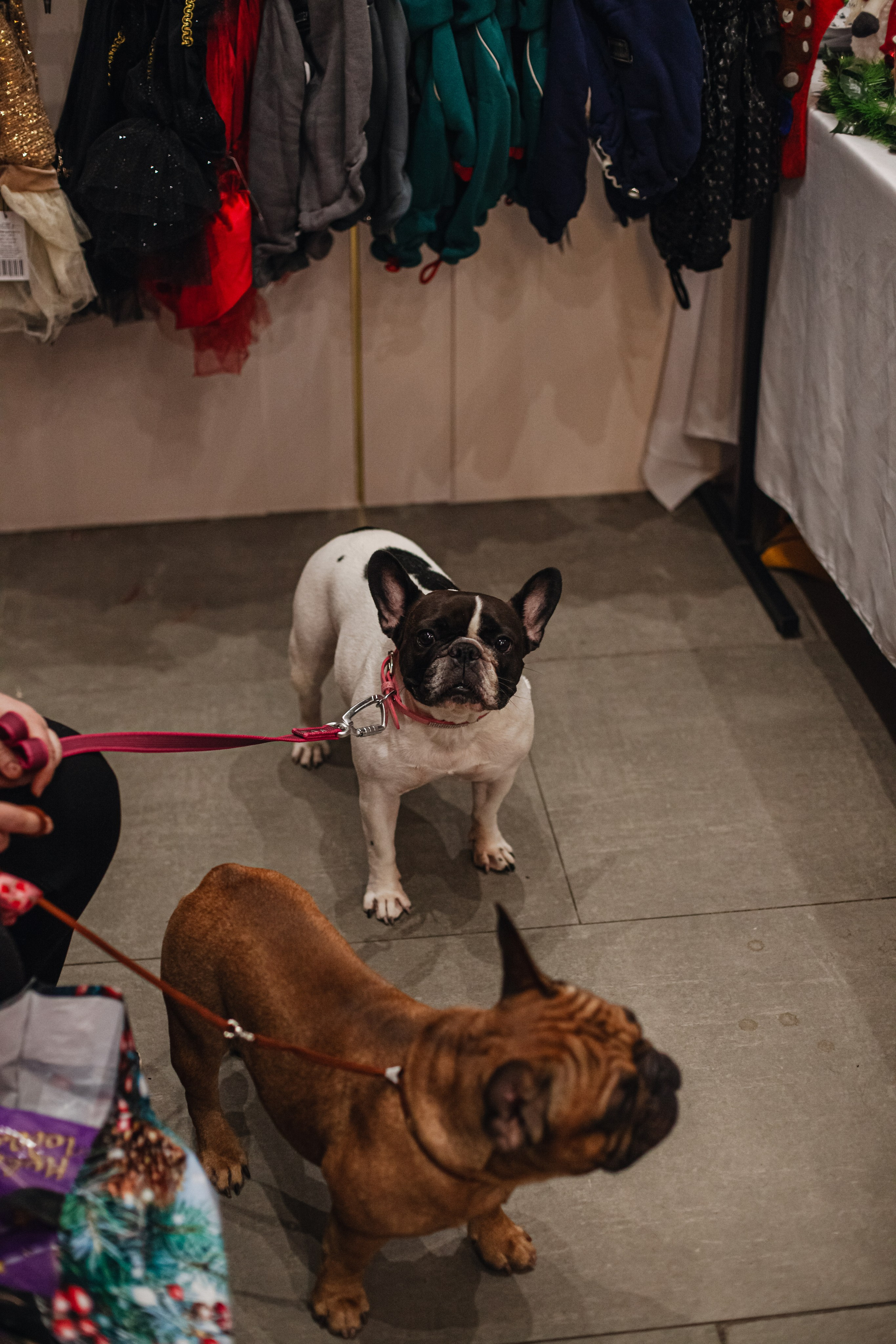 Бульёлка 2024. Фотограф-анималист Татьяна Степанова