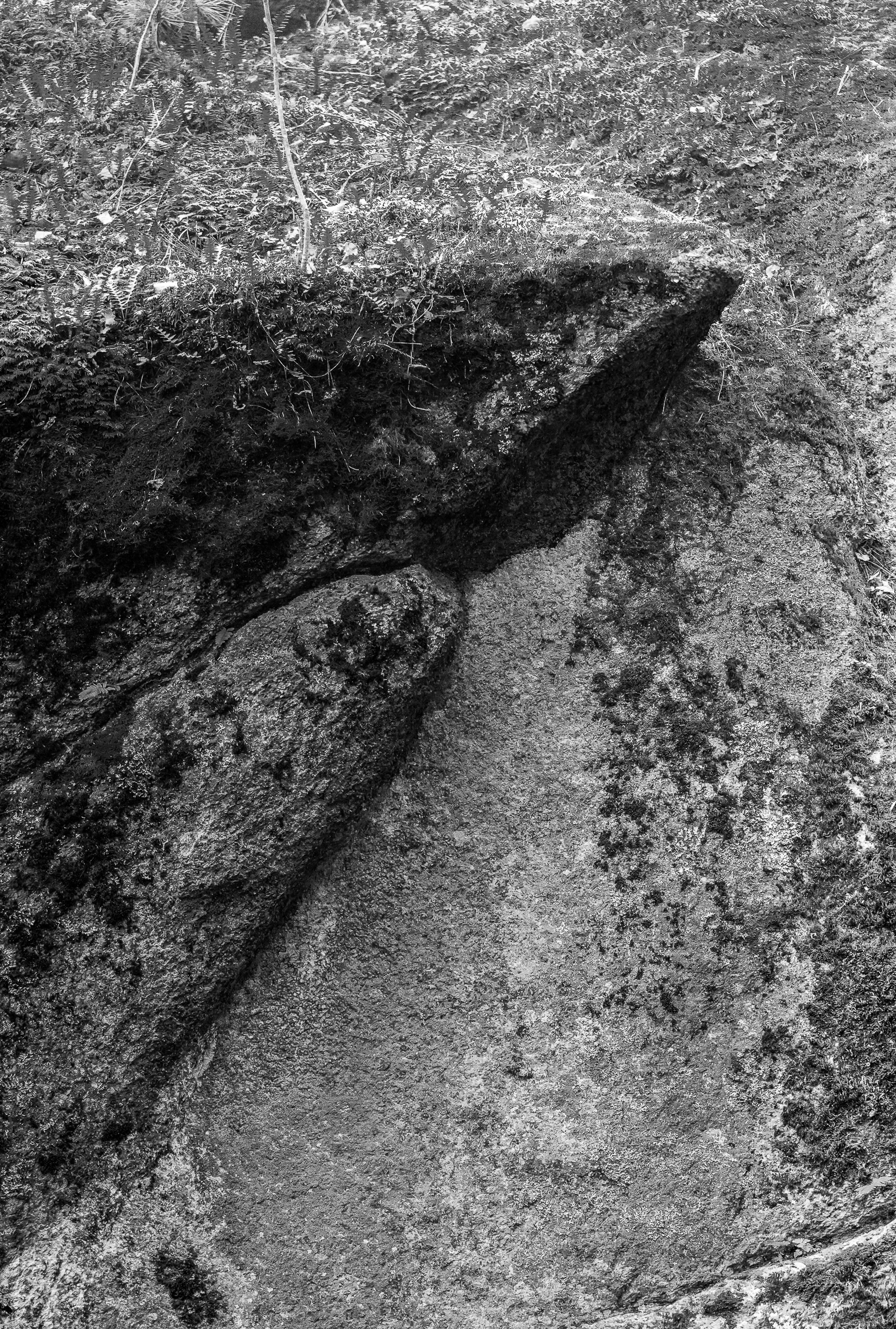 Серия «Горные обитатели». Фотограф в Москве Татьяна Макотра