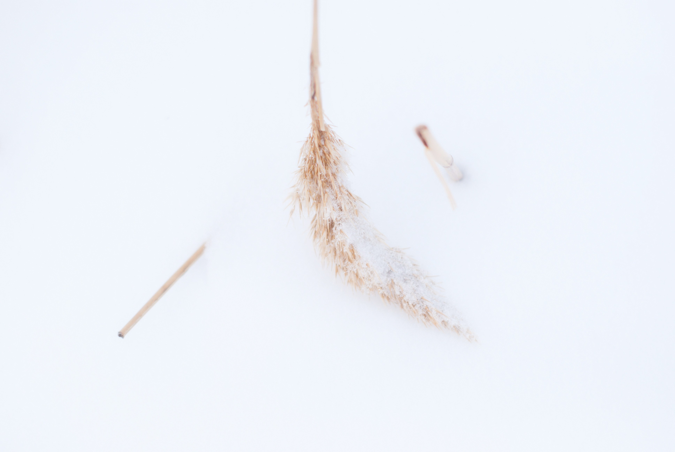 Этот прекрасный мир