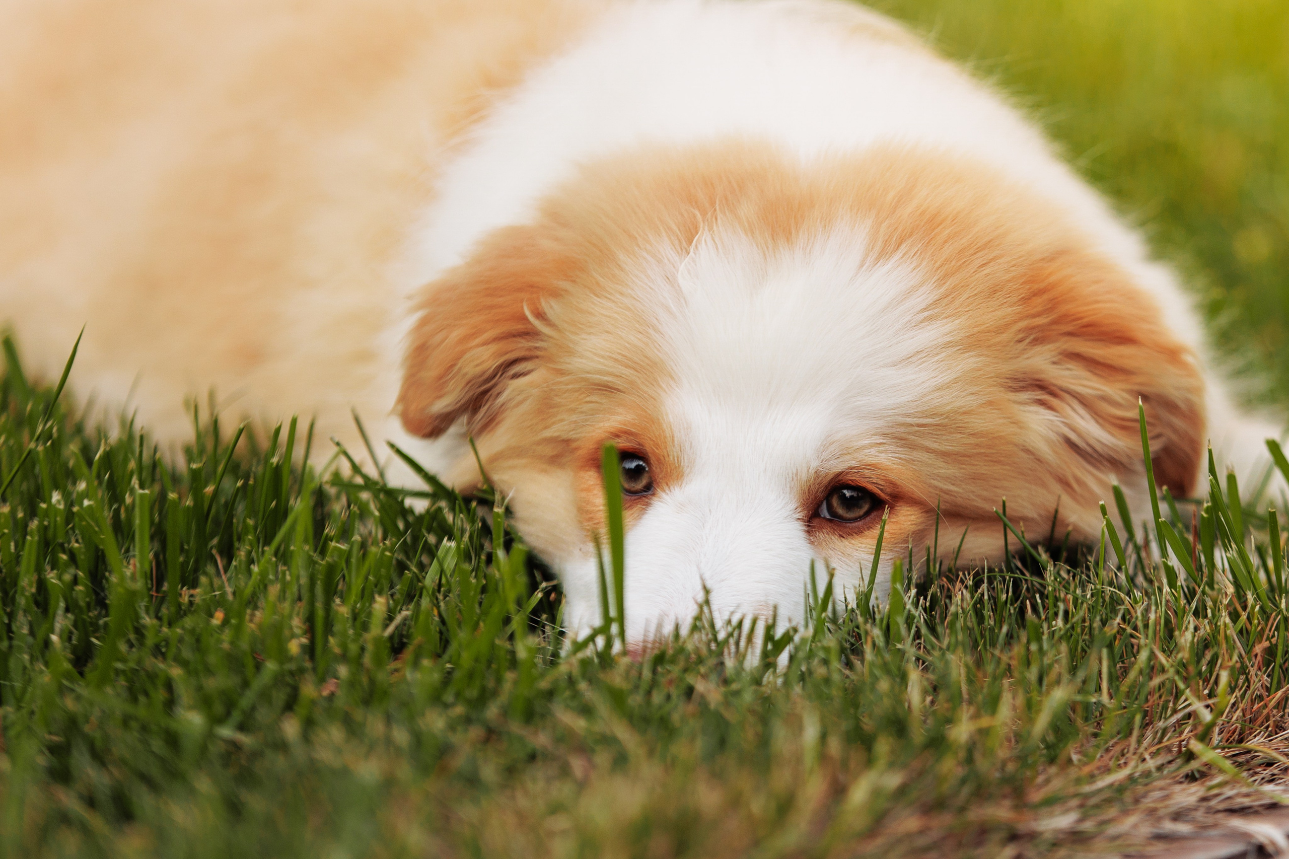 СОлнечные. О нас