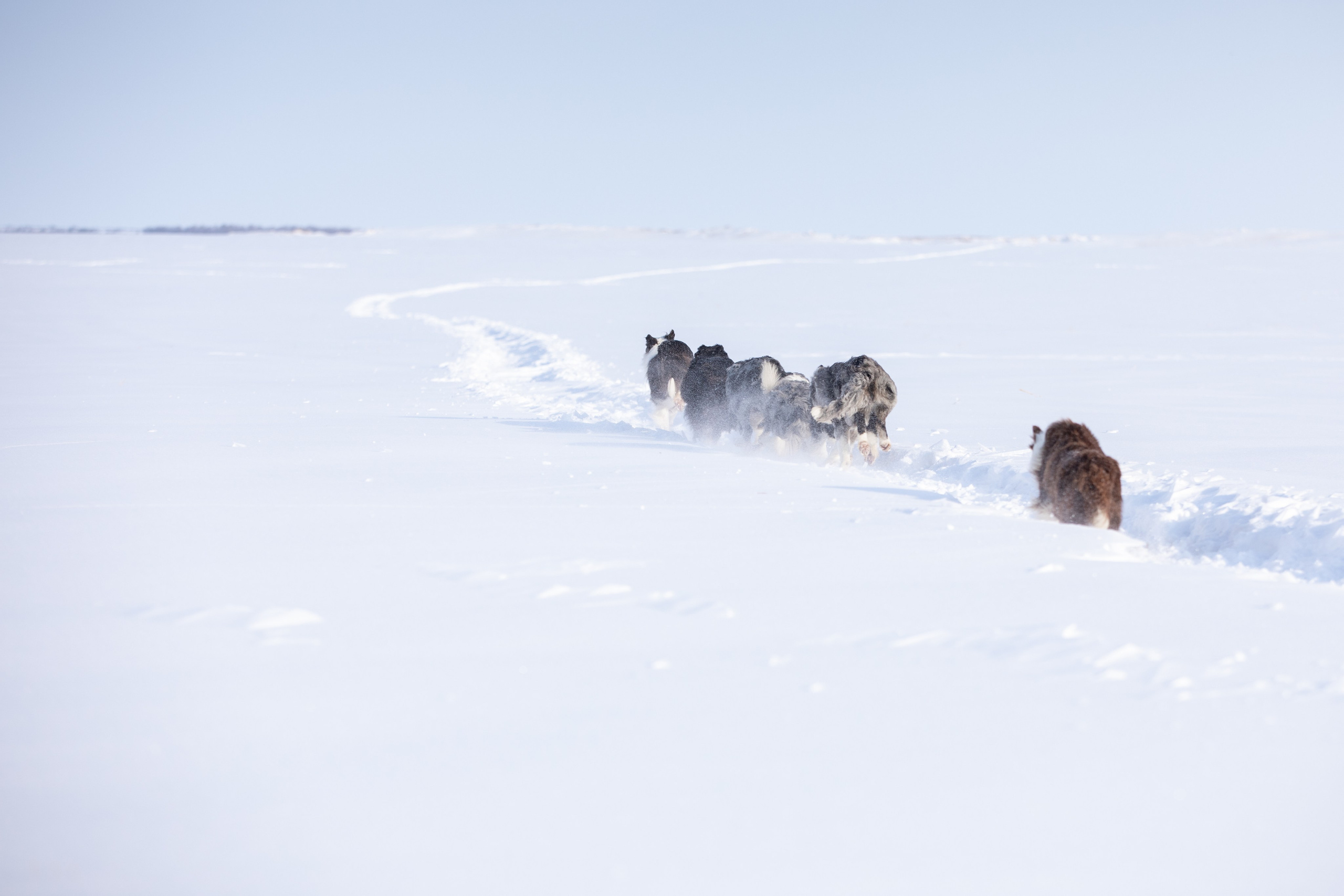 Мороз и солнце. О нас