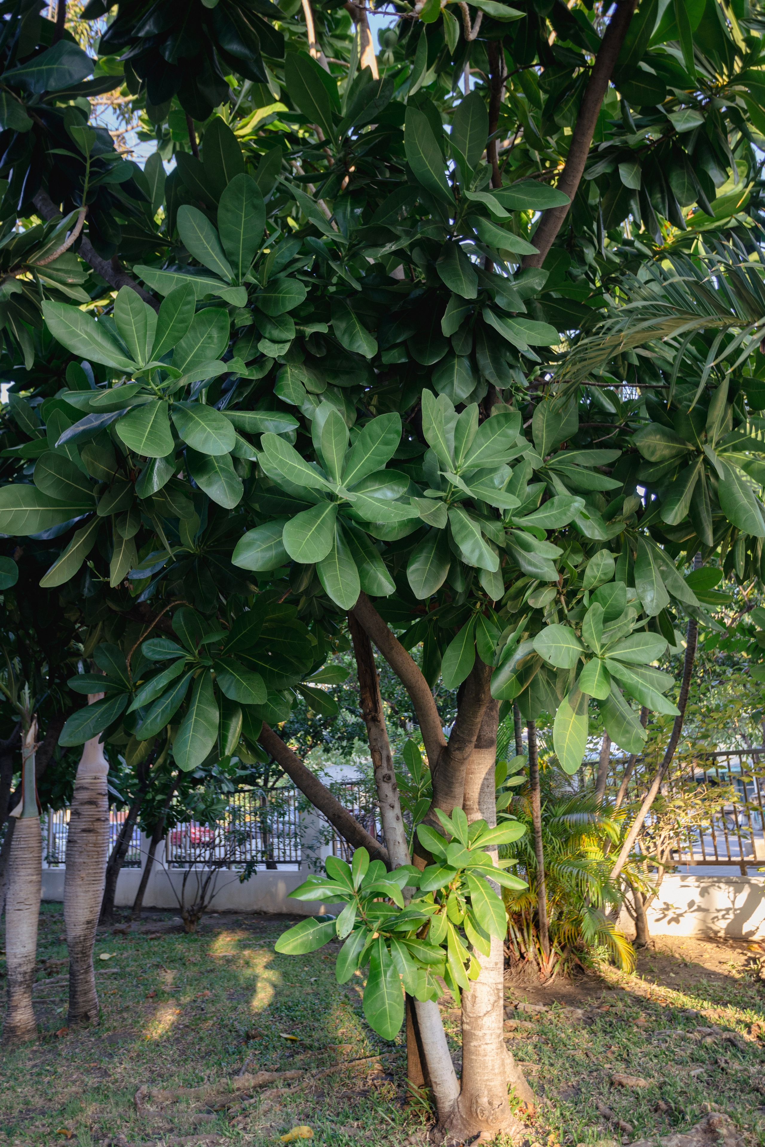 Samut Prakan. Фотограф Сонкина Татьяна