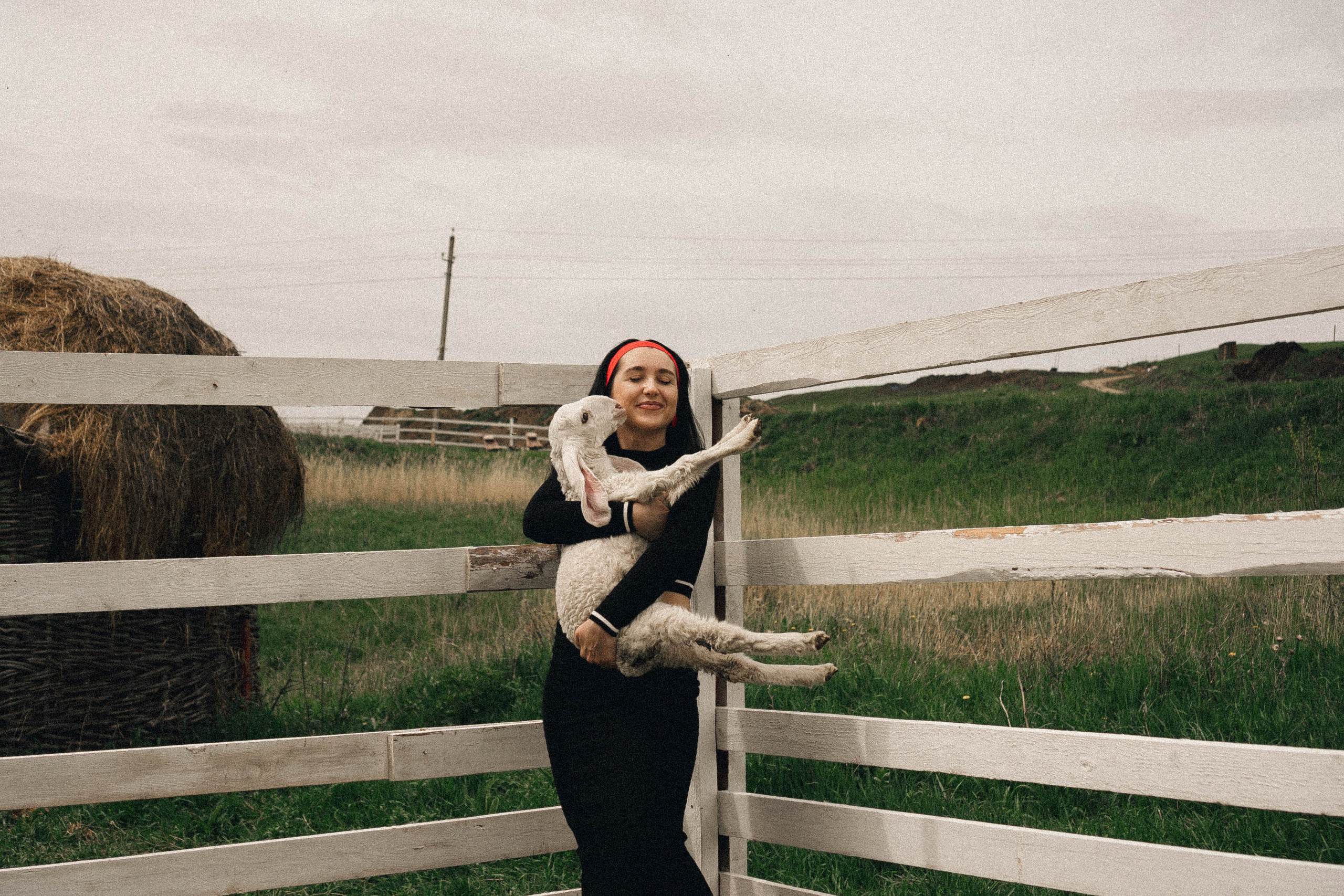 Ферма Альпак. Профессиональный фотограф, Санкт-Петербург — Виктория Богомолова