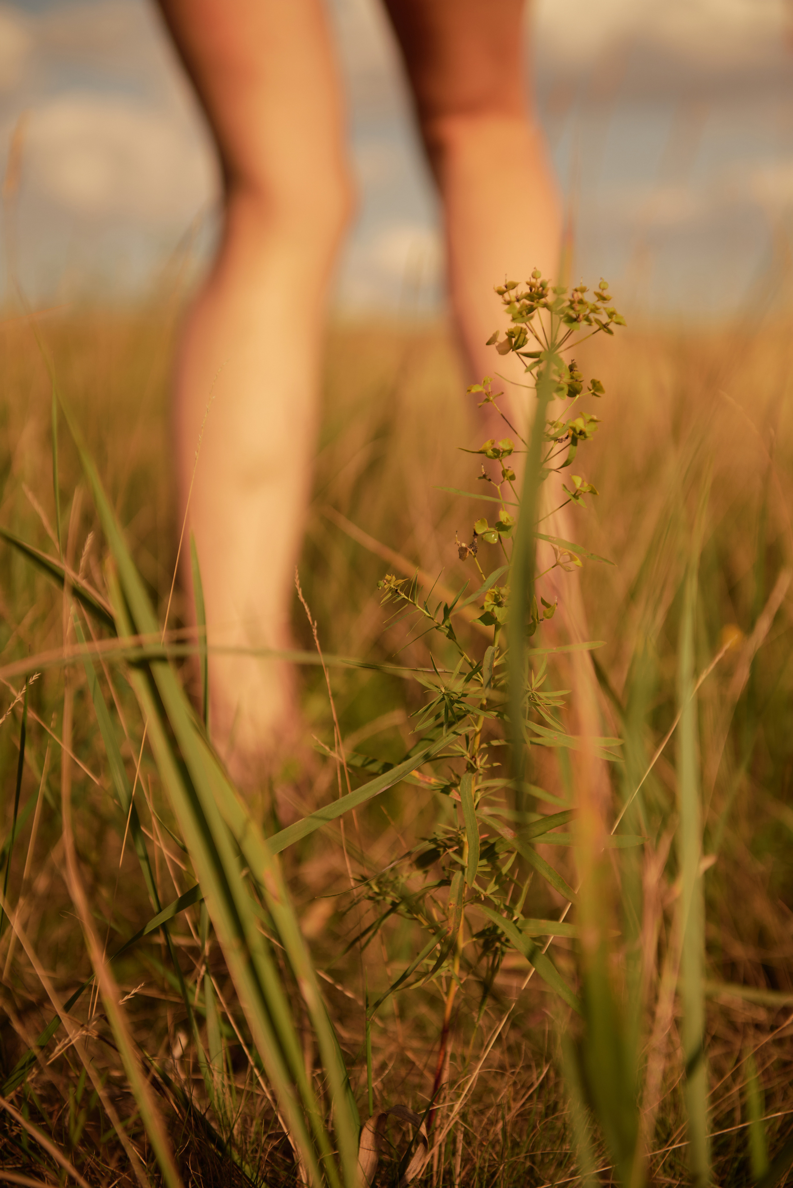 Юлия. Z H U R A V L E V