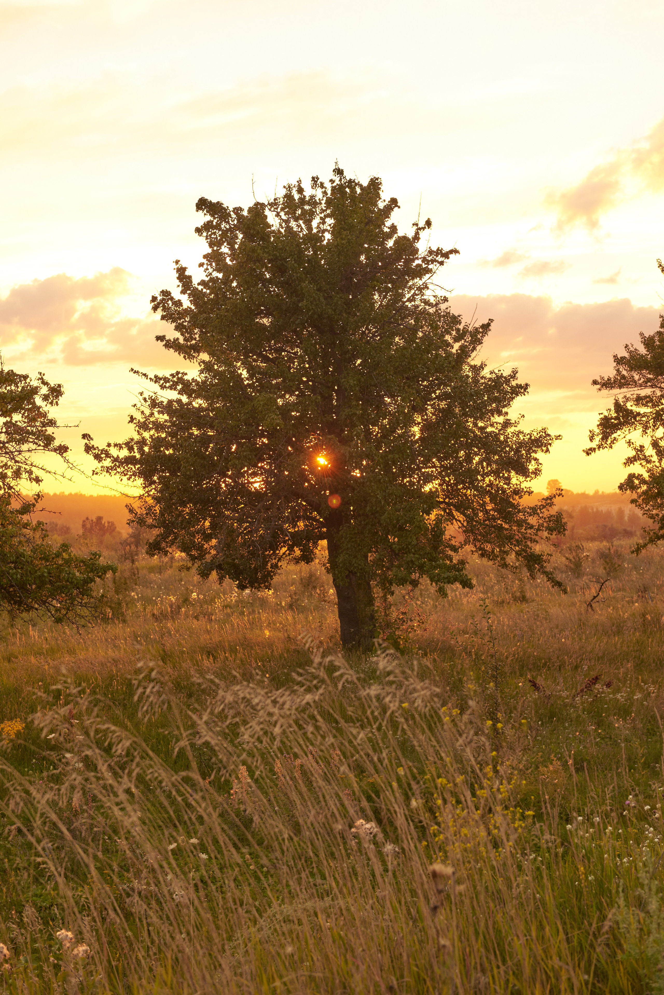 Юлия. Z H U R A V L E V