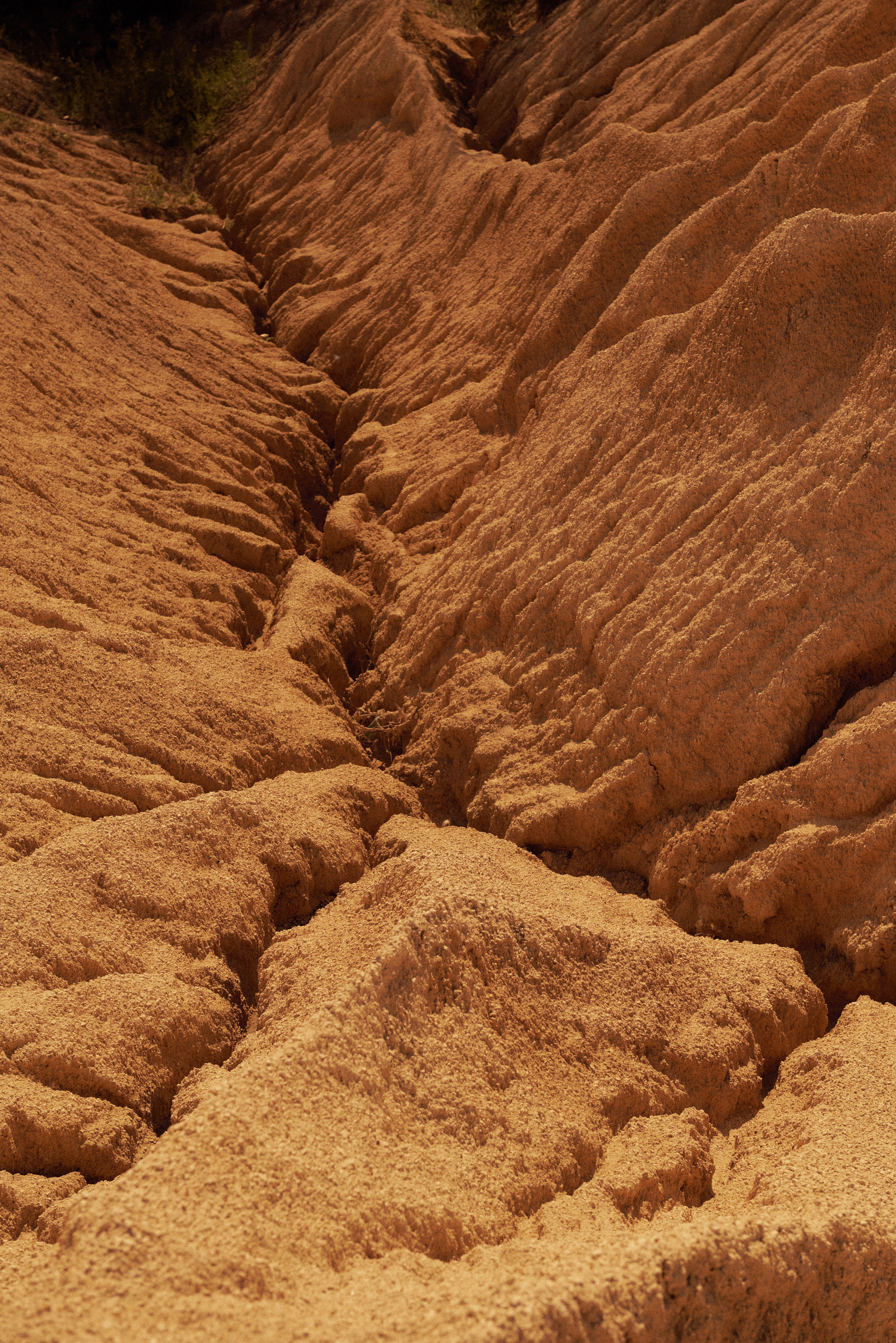 Юлия. Z H U R A V L E V