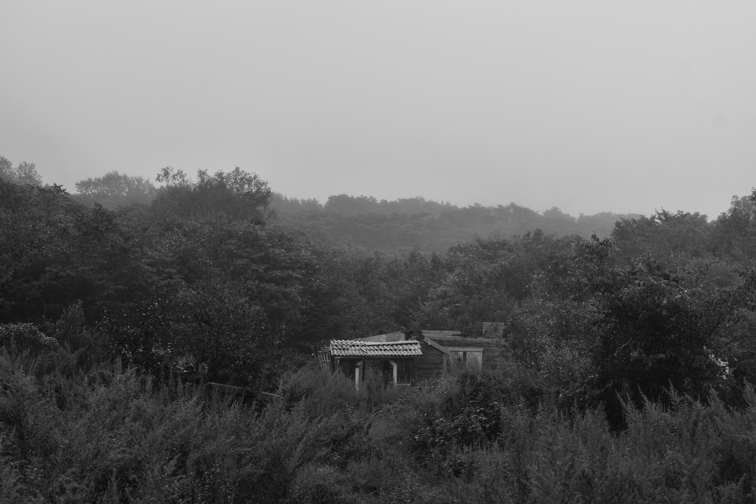 Abandoned. Портретный фотограф во Владивостоке Елена Шкурко