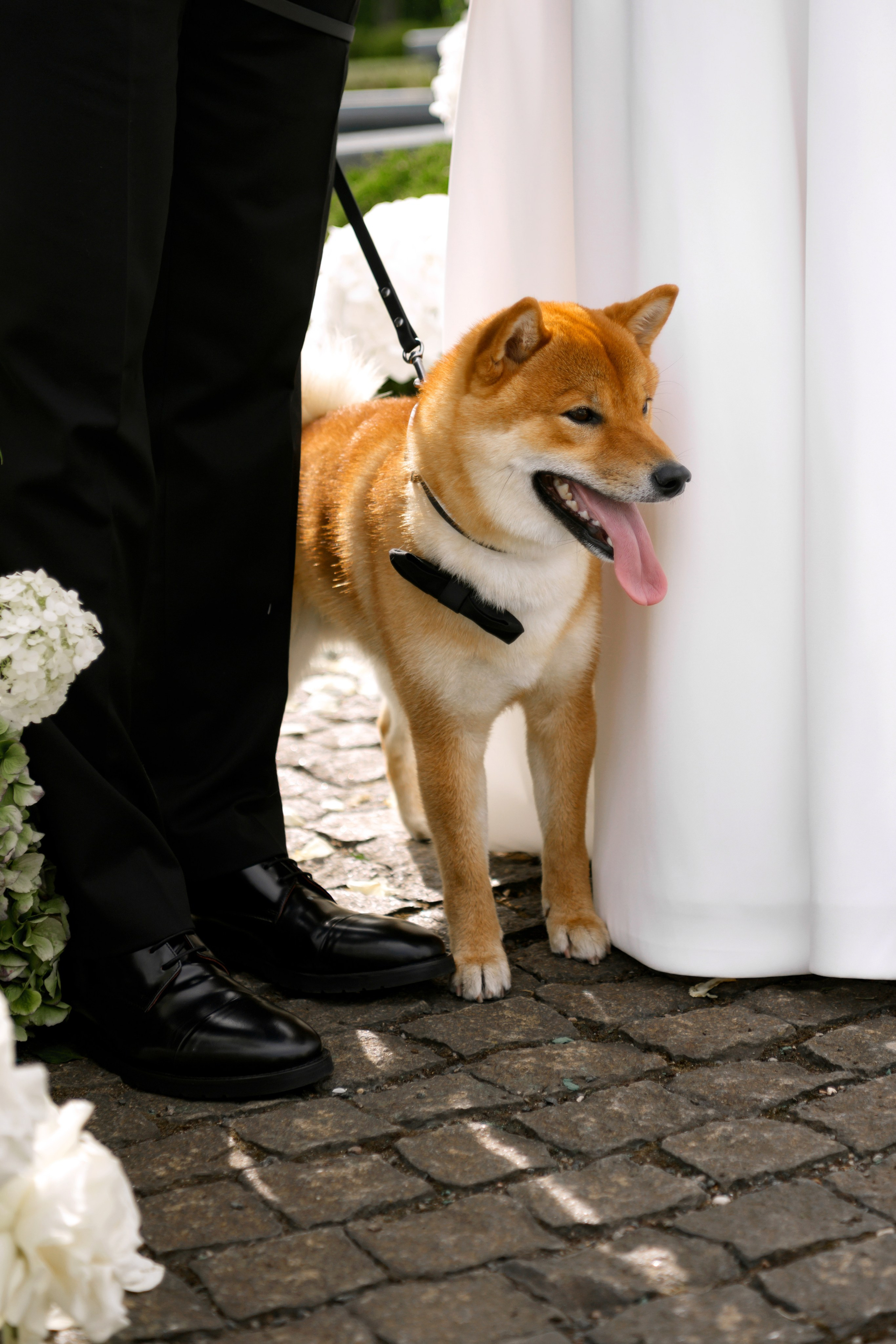 Лиза & Антон. Свадебный фотограф в Минске