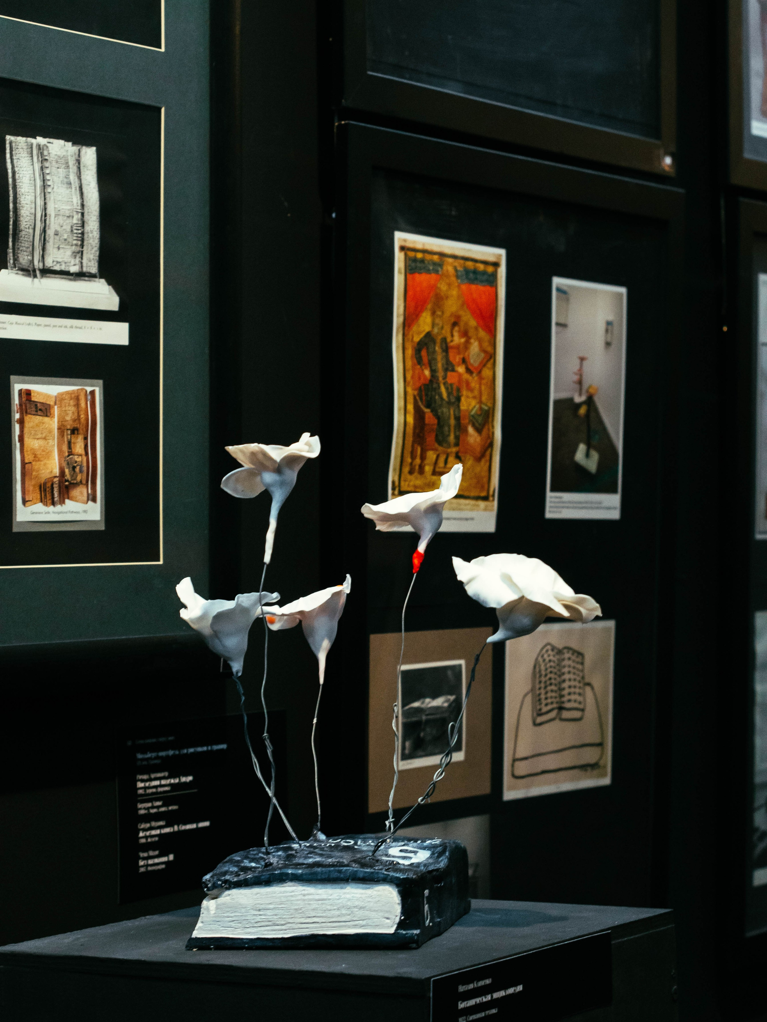 Репортажи. Anastasiia Kron