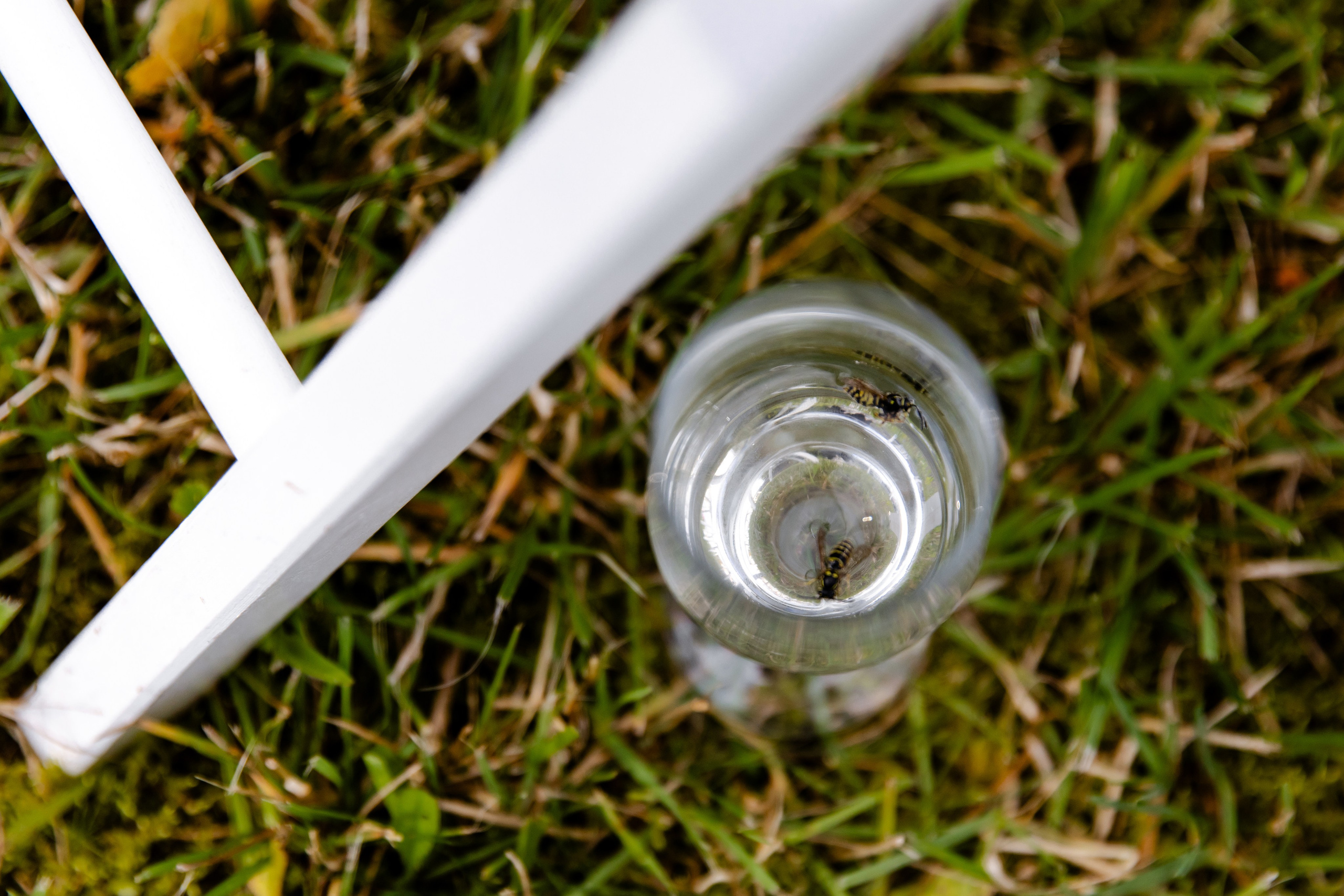 Свадебный день Сергея и Яны. Свадебный фотограф Анна Бабахина