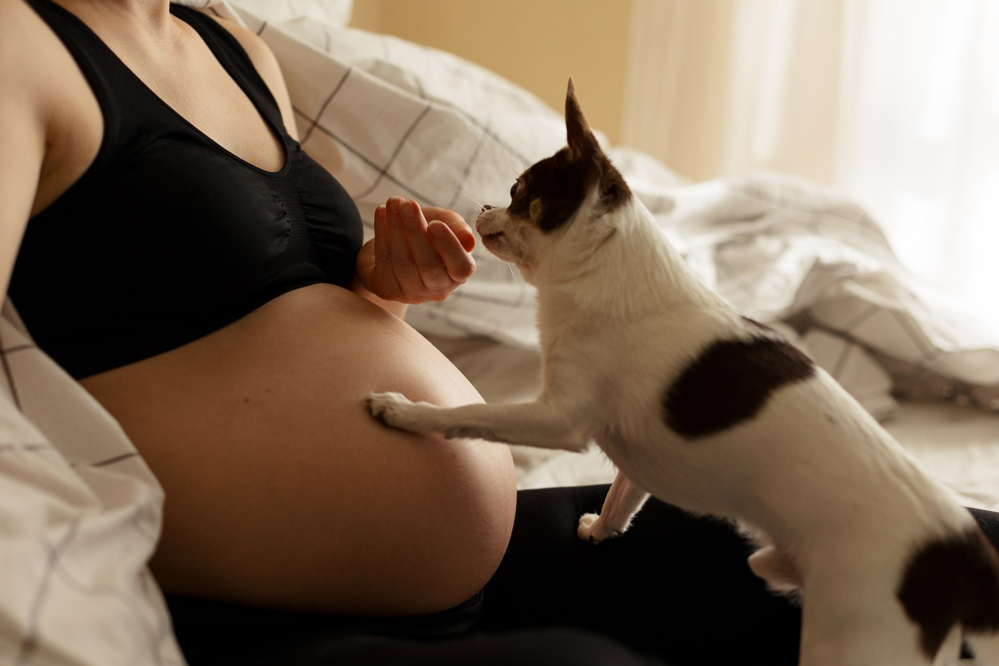 Съёмка беременности дома. Семейный фотограф в Москве Евгения Соловьёва