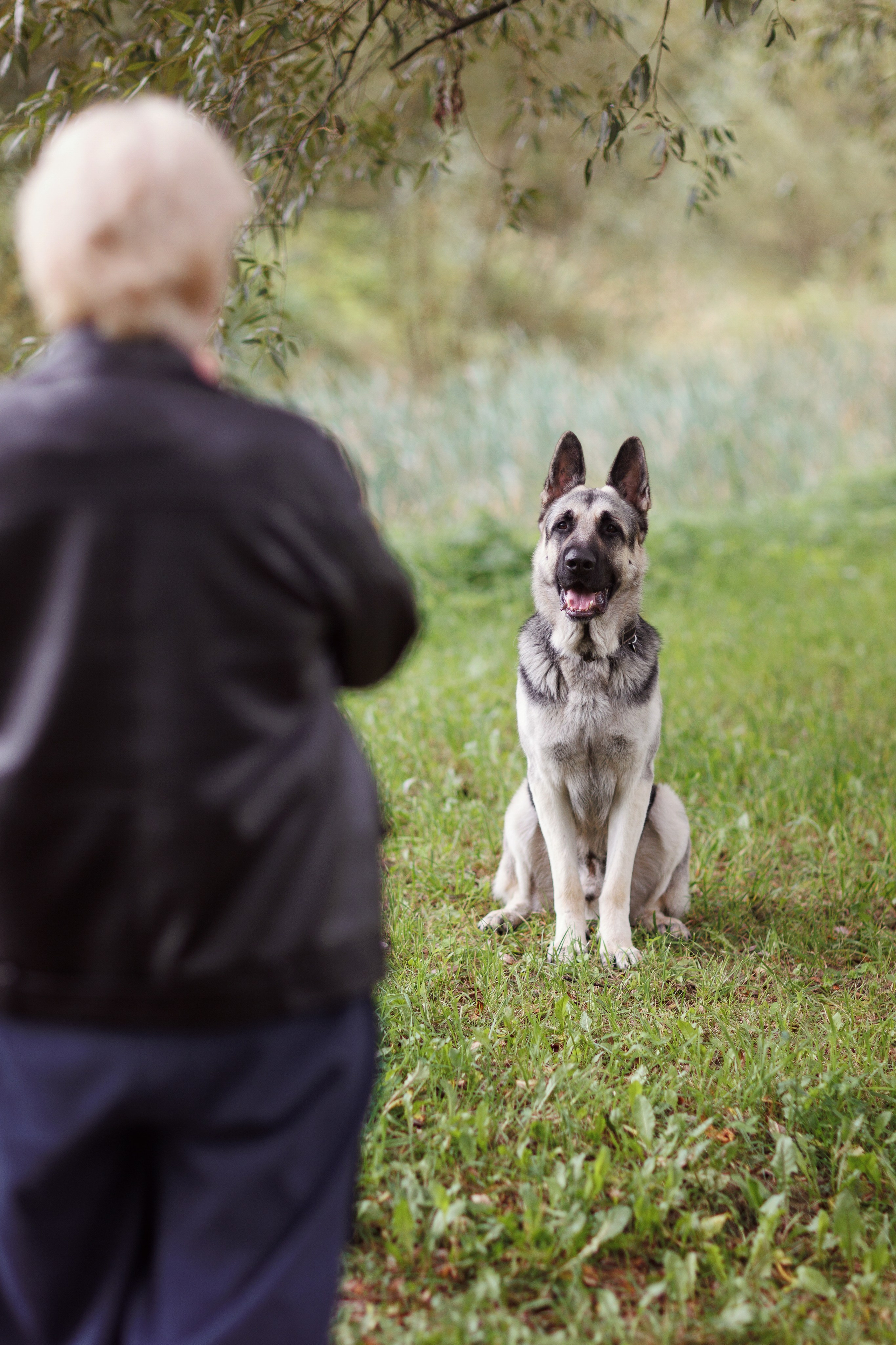 Оксана И Норд. Фотограф — Анималист Наталья Тямушева