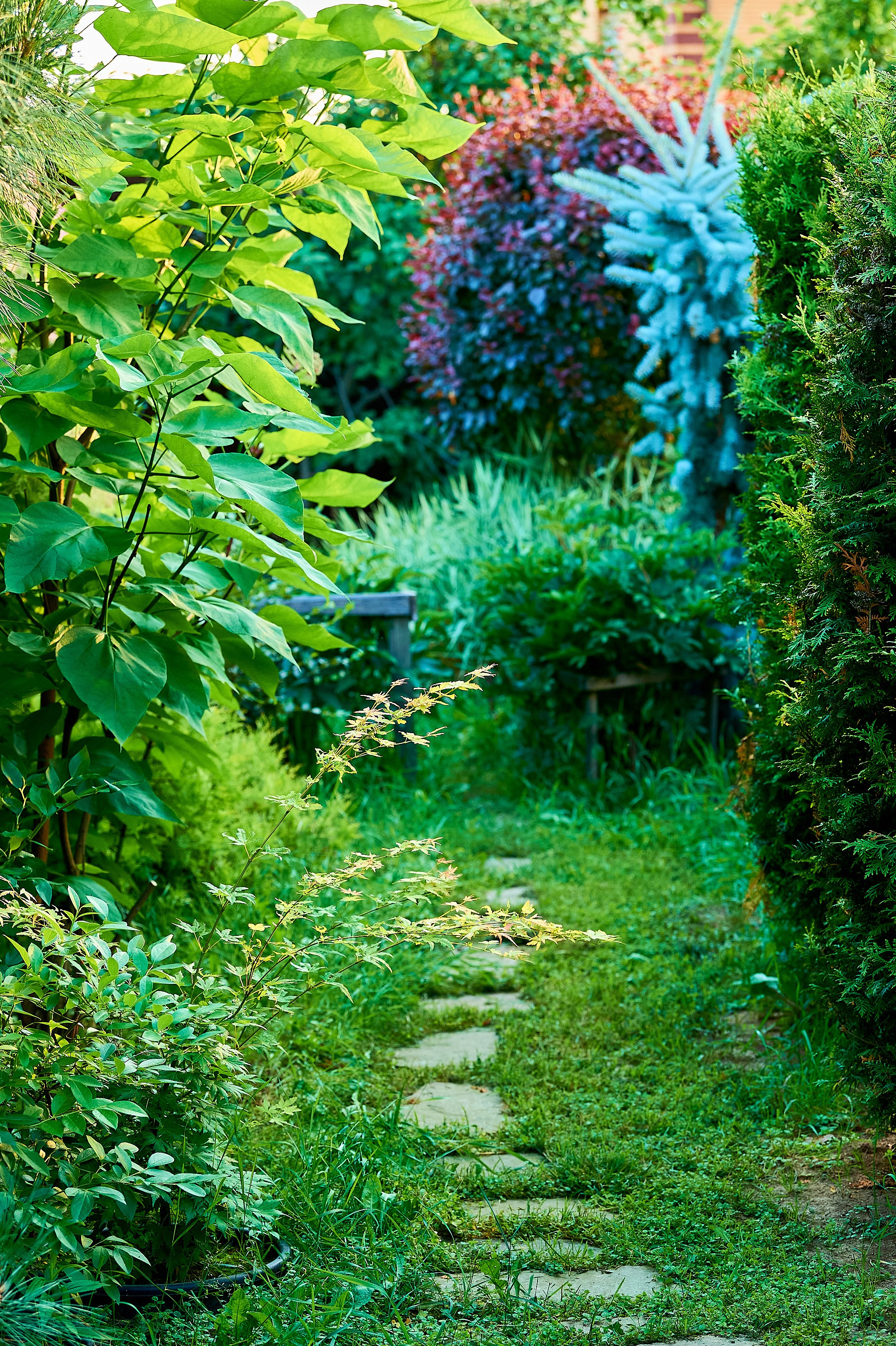 Фотосъёмка ландшафтных рабт