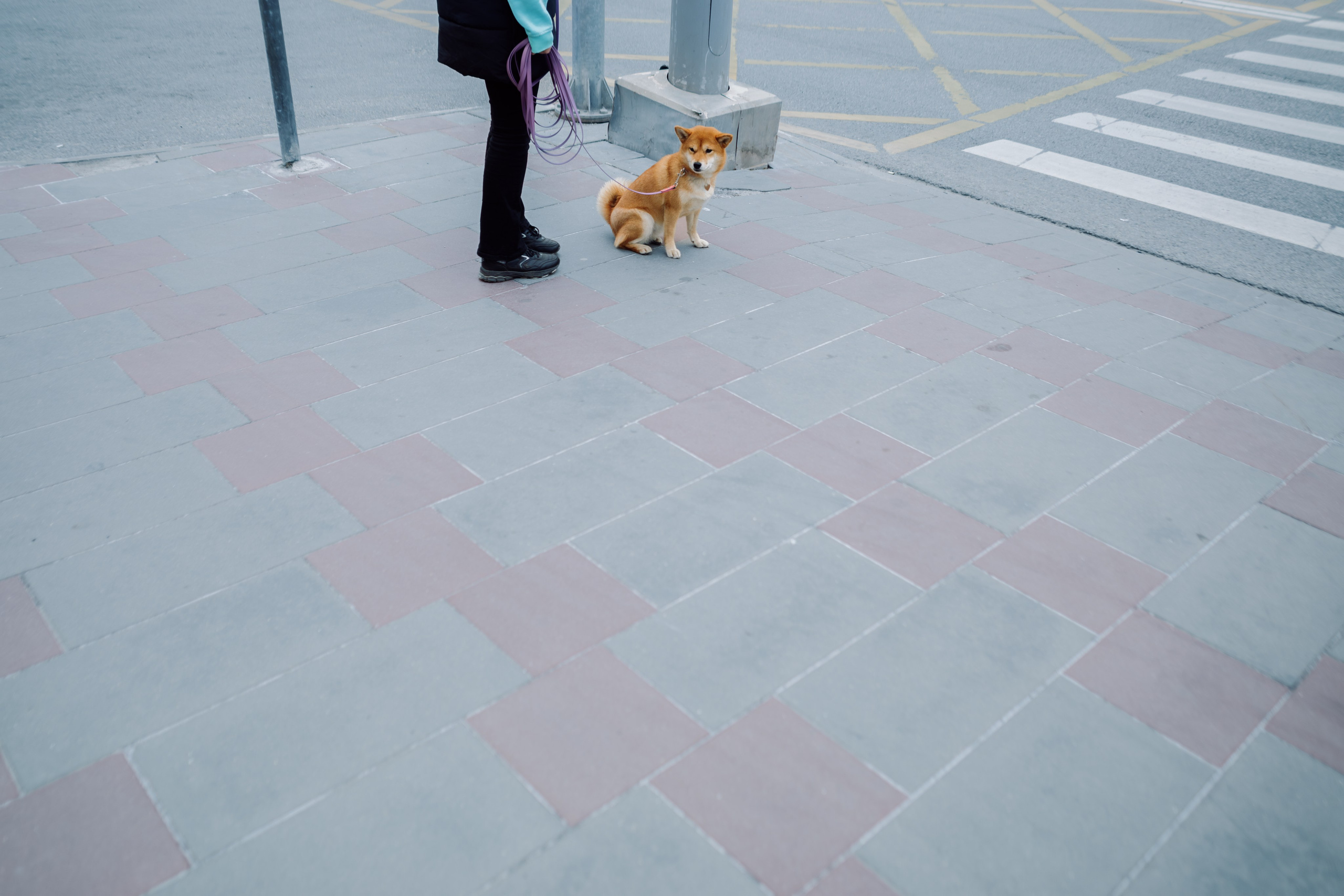 Жанр. Оператор-постановщик и фотограф Филипп Угланов