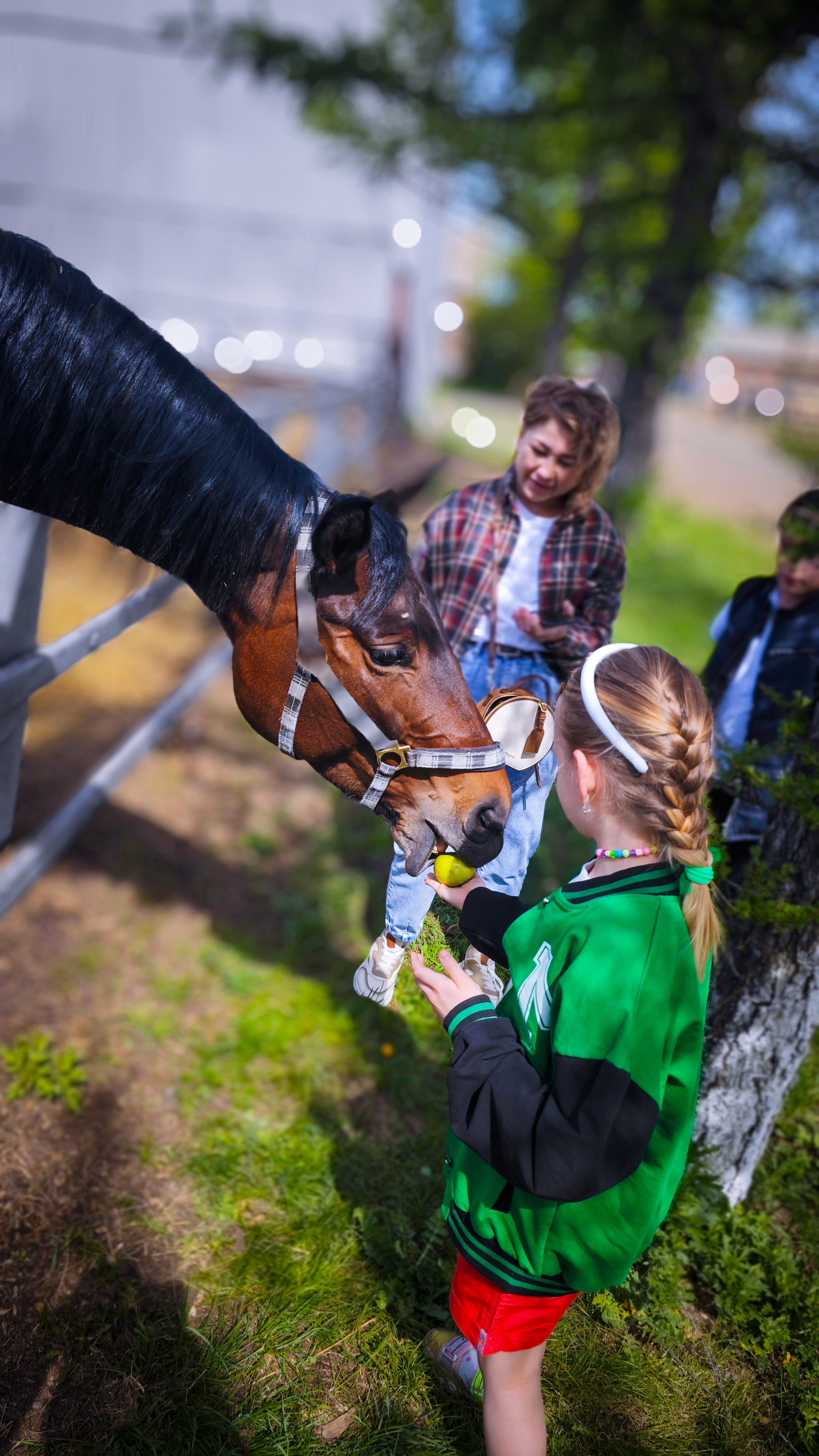 Красноярский ипподром. Открытие сезона 2025. Игорь Урывский. Фотограф Красноярск