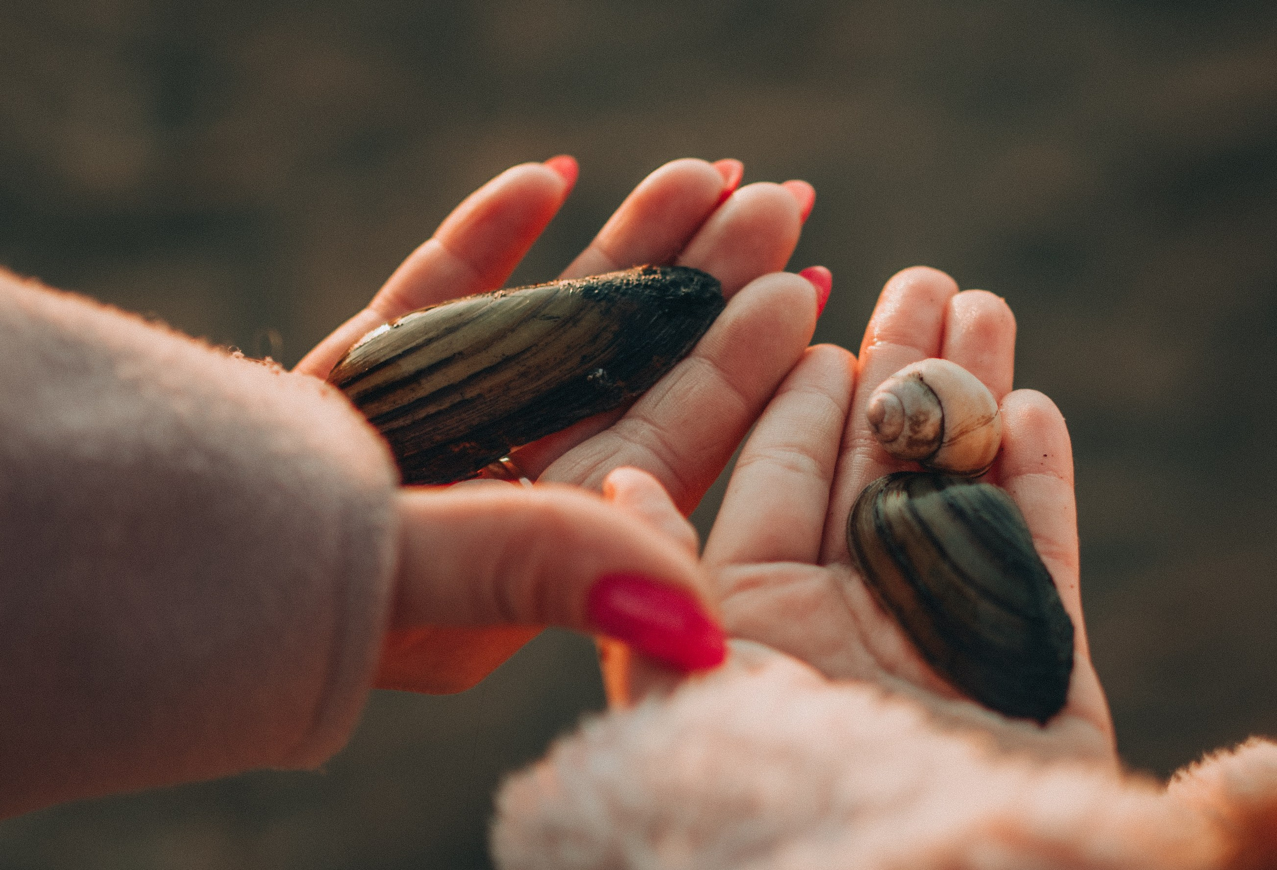 Гуляя по городу весной…. Фотограф Юлия Хакимова / Казань/ Чистополь