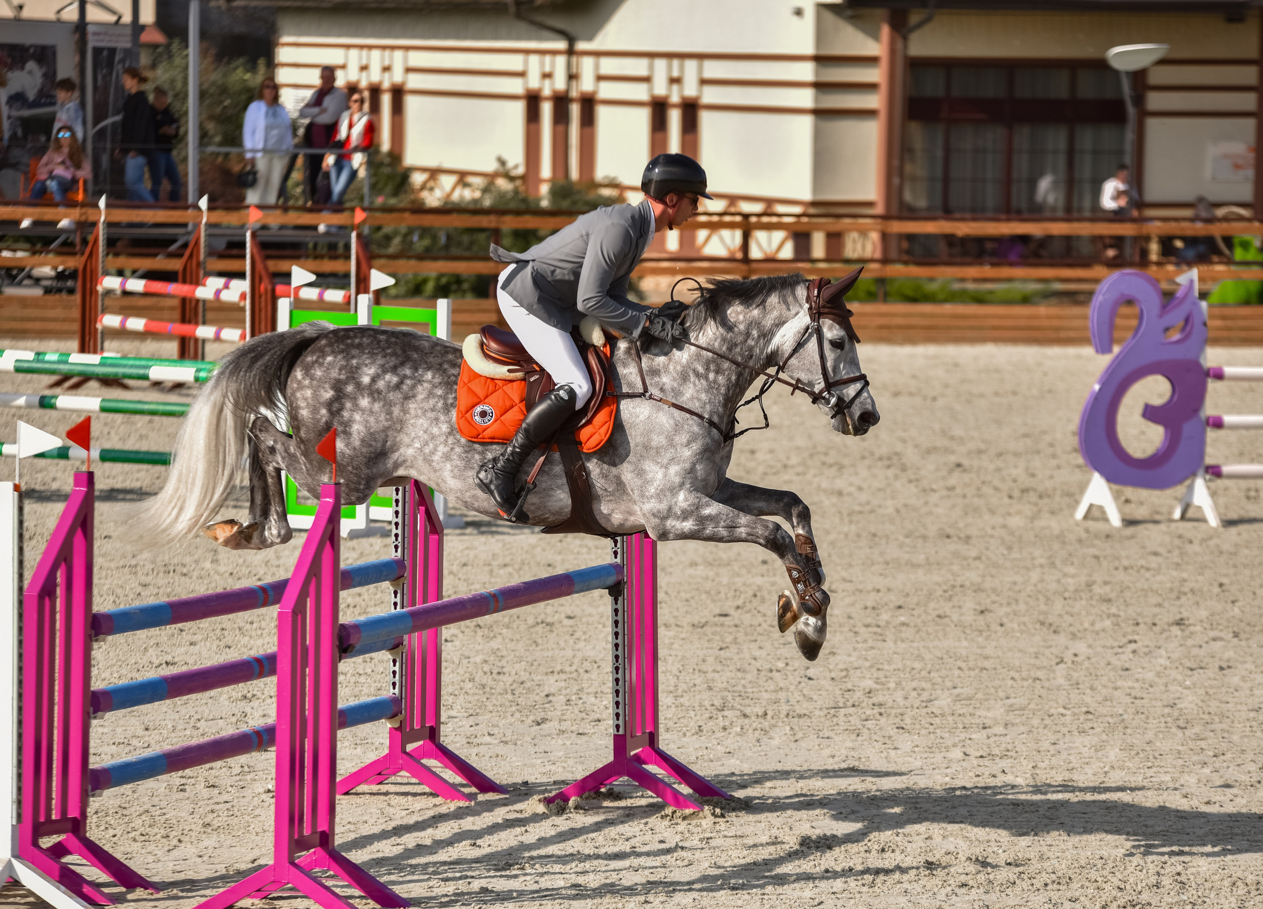 Репортажная съемка конных мероприятий. Конный фотограф из Москвы Ирина Бондаркова