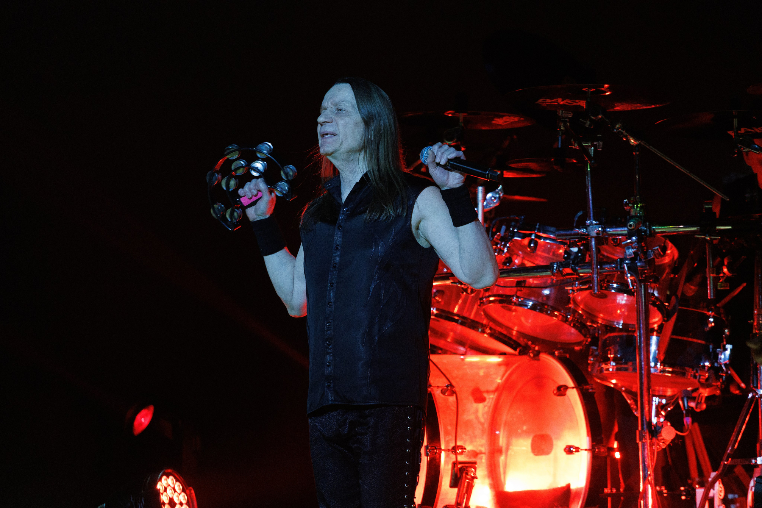 «КИПЕЛОВ». Photomantis