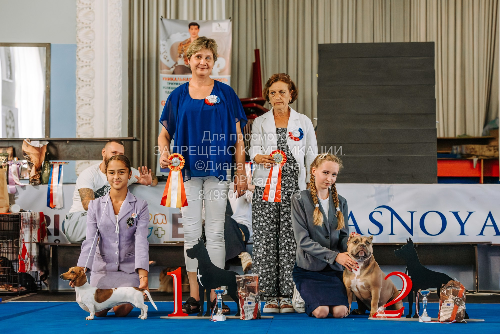 Национальная выставка собак всех пород ранга САС-IKU «Кубок Красноярск. Фотограф Диана Оленина Красноярск / Братск