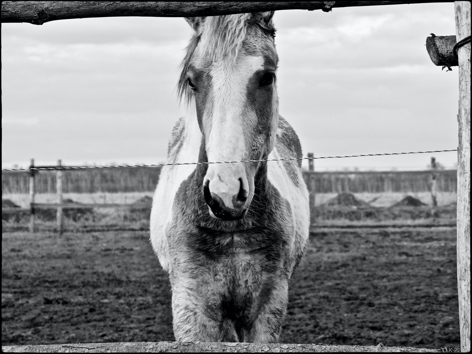 Ветра и дожди. Artkapella|Олег Кузнецов