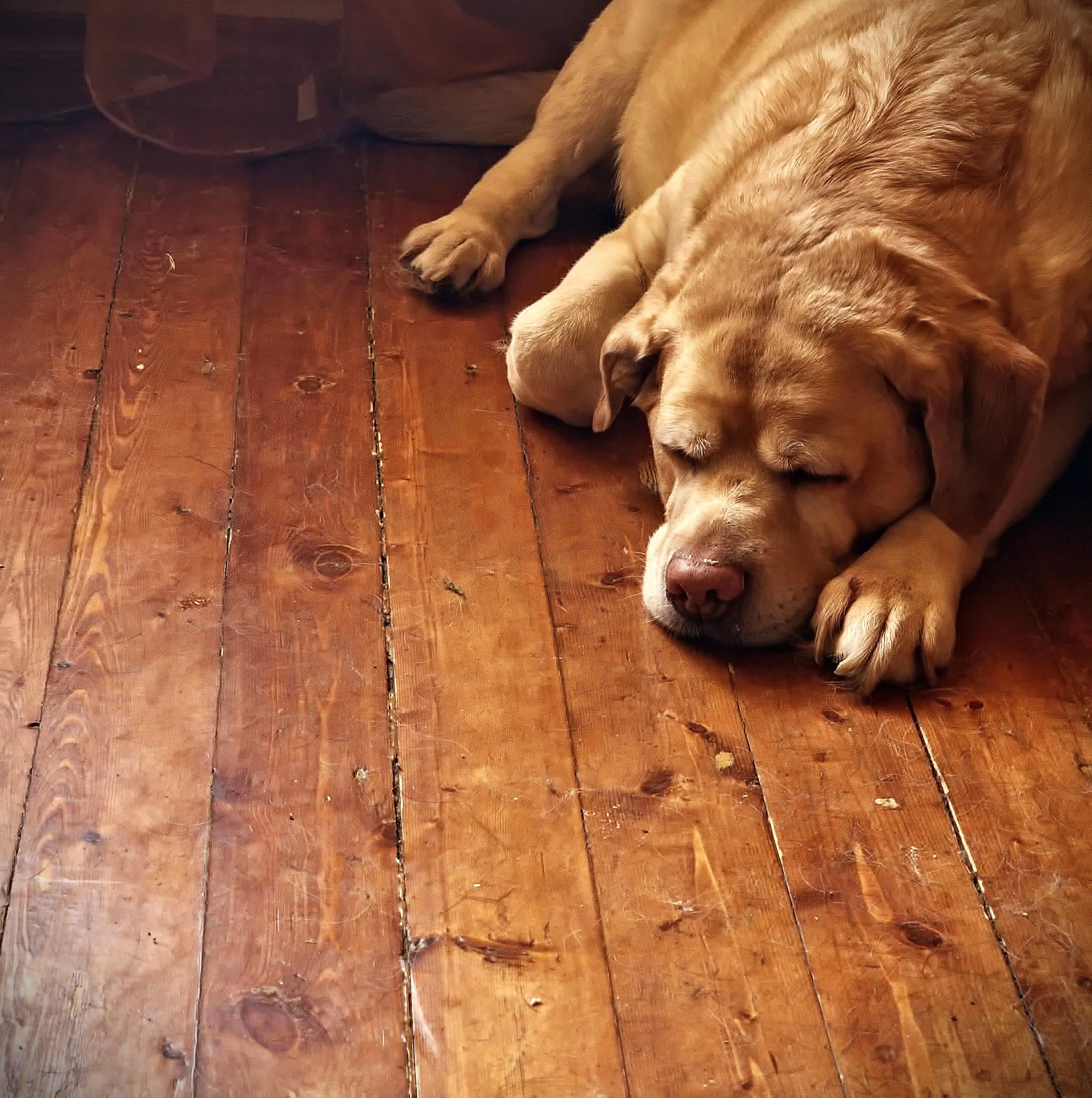 Июль 2025. Den Mirov — Фотограф, Музыкант